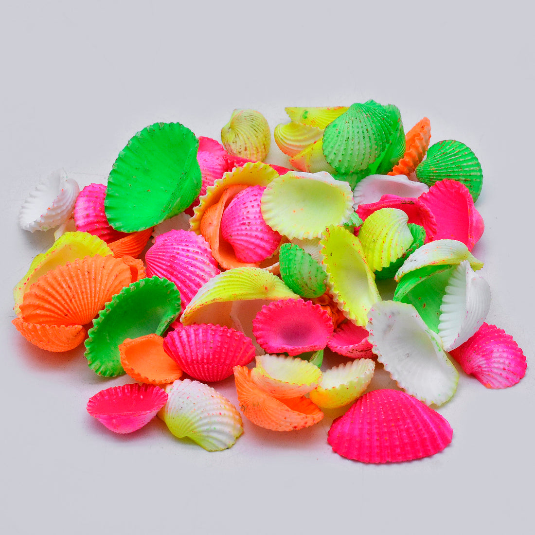 Vibrant Colored Scallop Shells – Assorted Craft Shell Mix - Shellkrafts