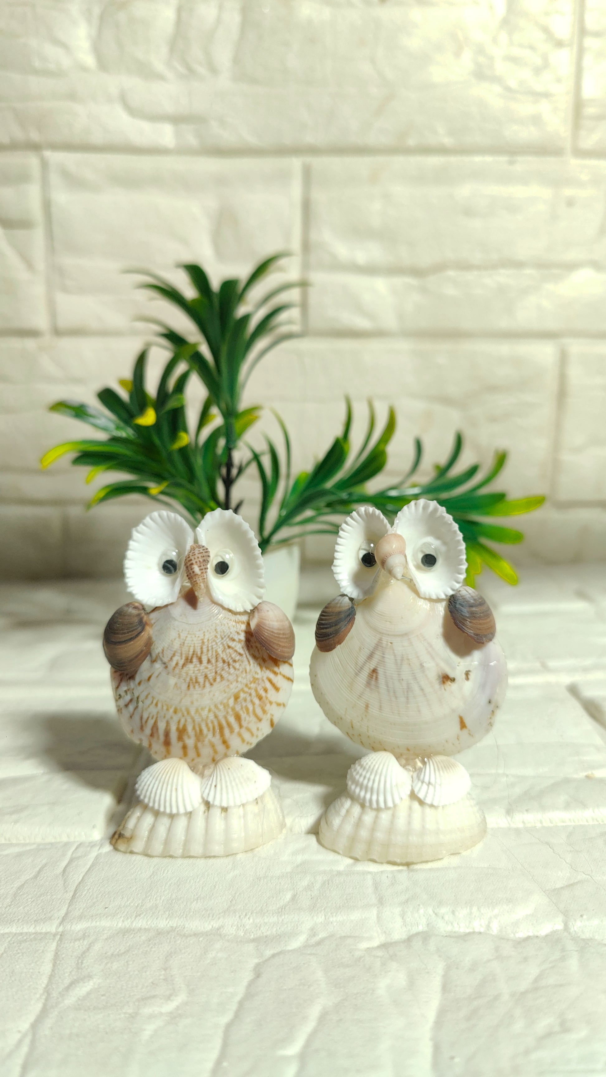 Coastal Wisdom Shell Owl Decor - Shellkrafts