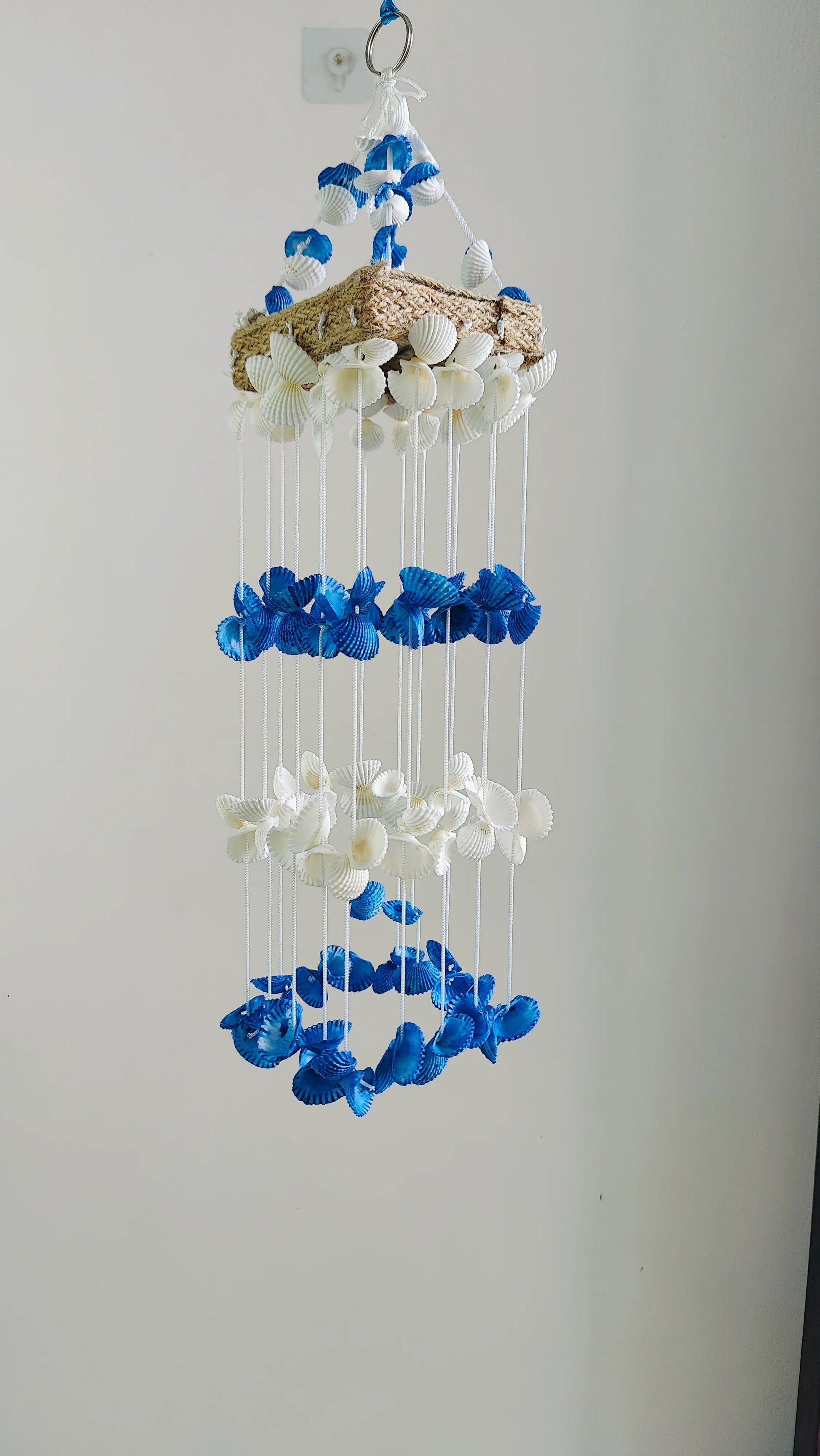 Blue Mini Sea shell Hanger for Home decor 15inch - Shellkrafts