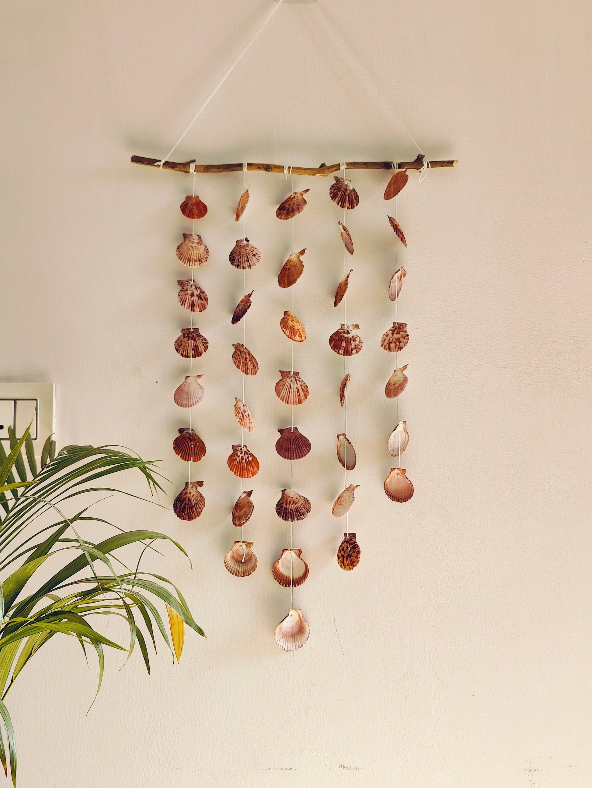 Natural Sea Shell Wall Hanging Décor - Boho Coastal Charm - Shellkrafts