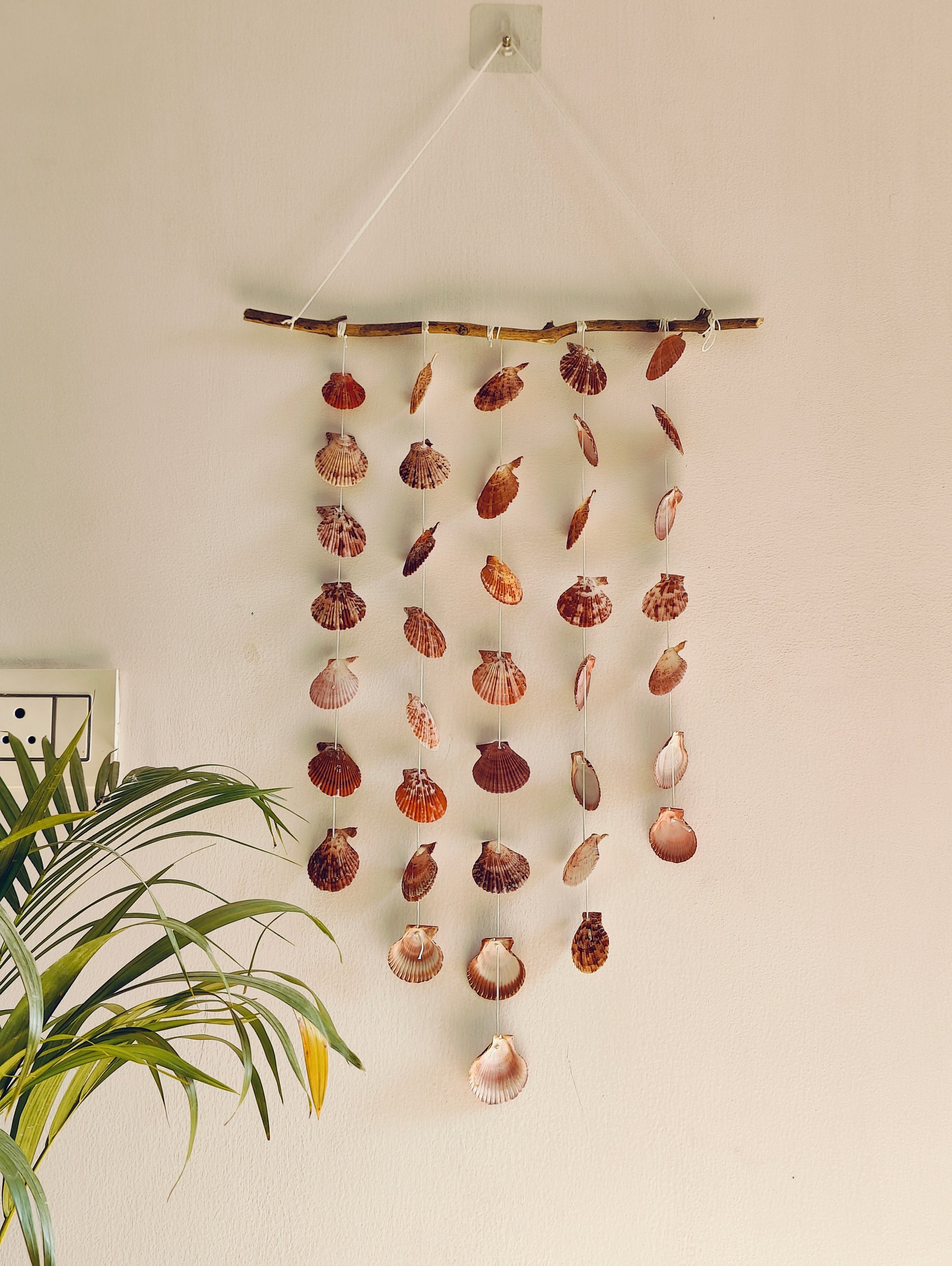 Natural Sea Shell Wall Hanging Décor - Boho Coastal Charm - Shellkrafts