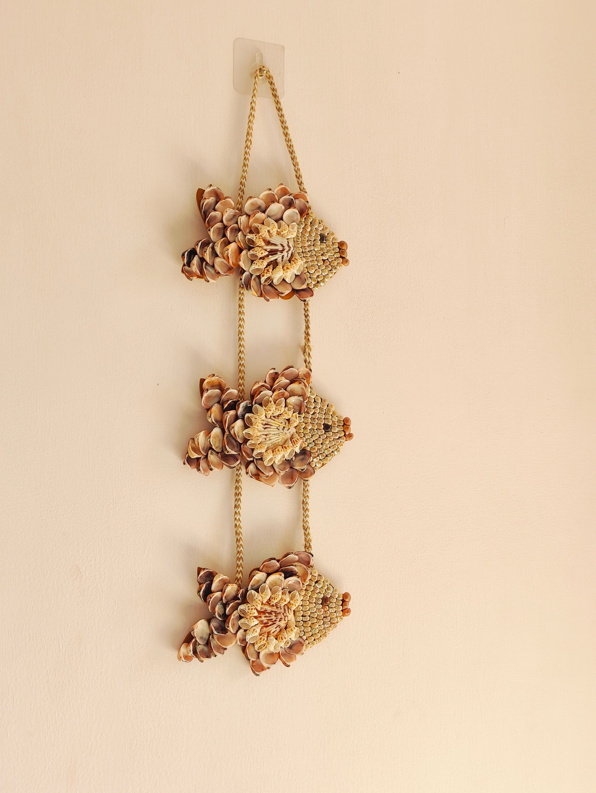 Handcrafted Seashell Fish Wall Hanging – Unique Coastal Home Décor - Shellkrafts