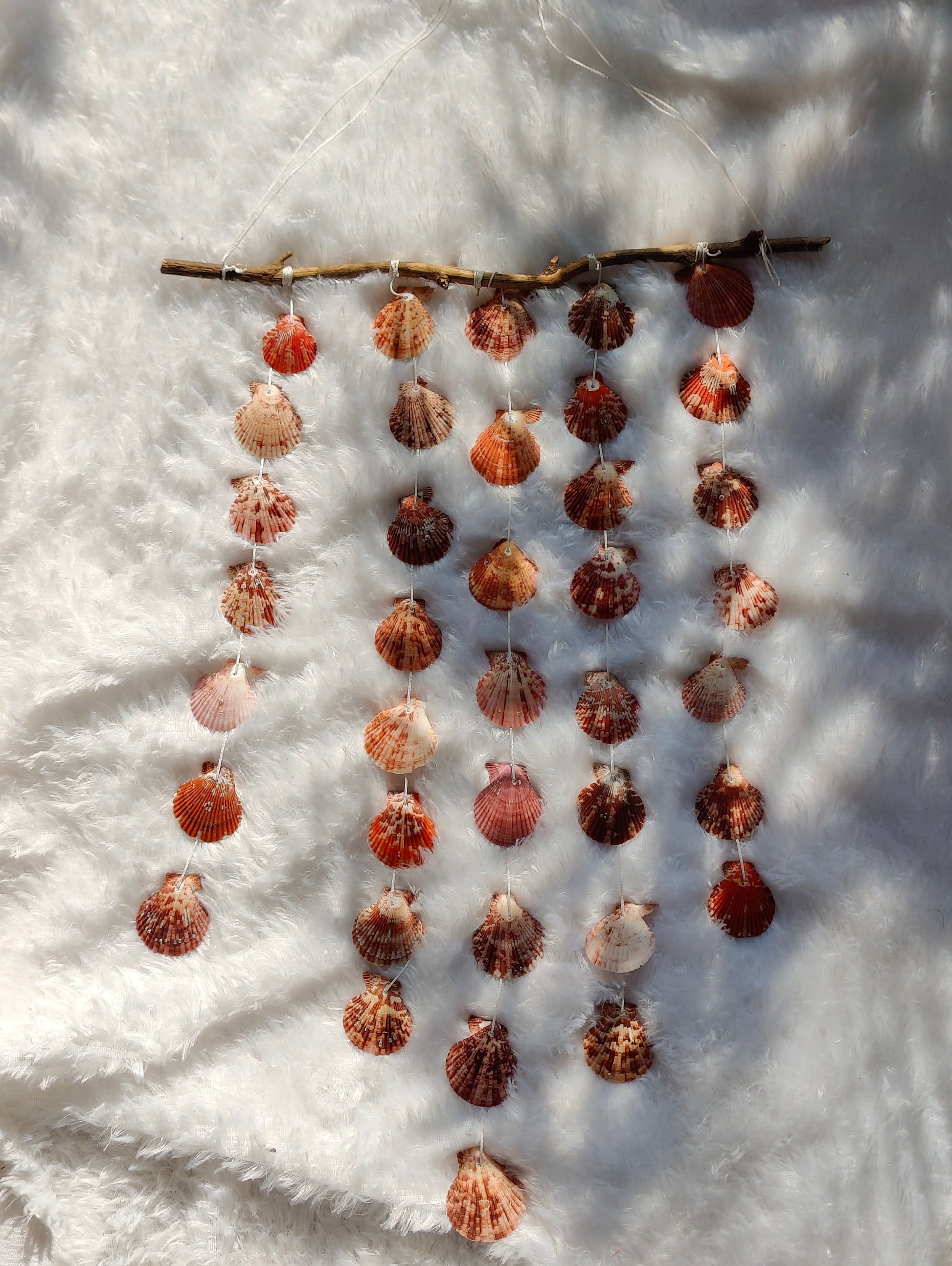 Natural Sea Shell Wall Hanging Décor - Boho Coastal Charm - Shellkrafts