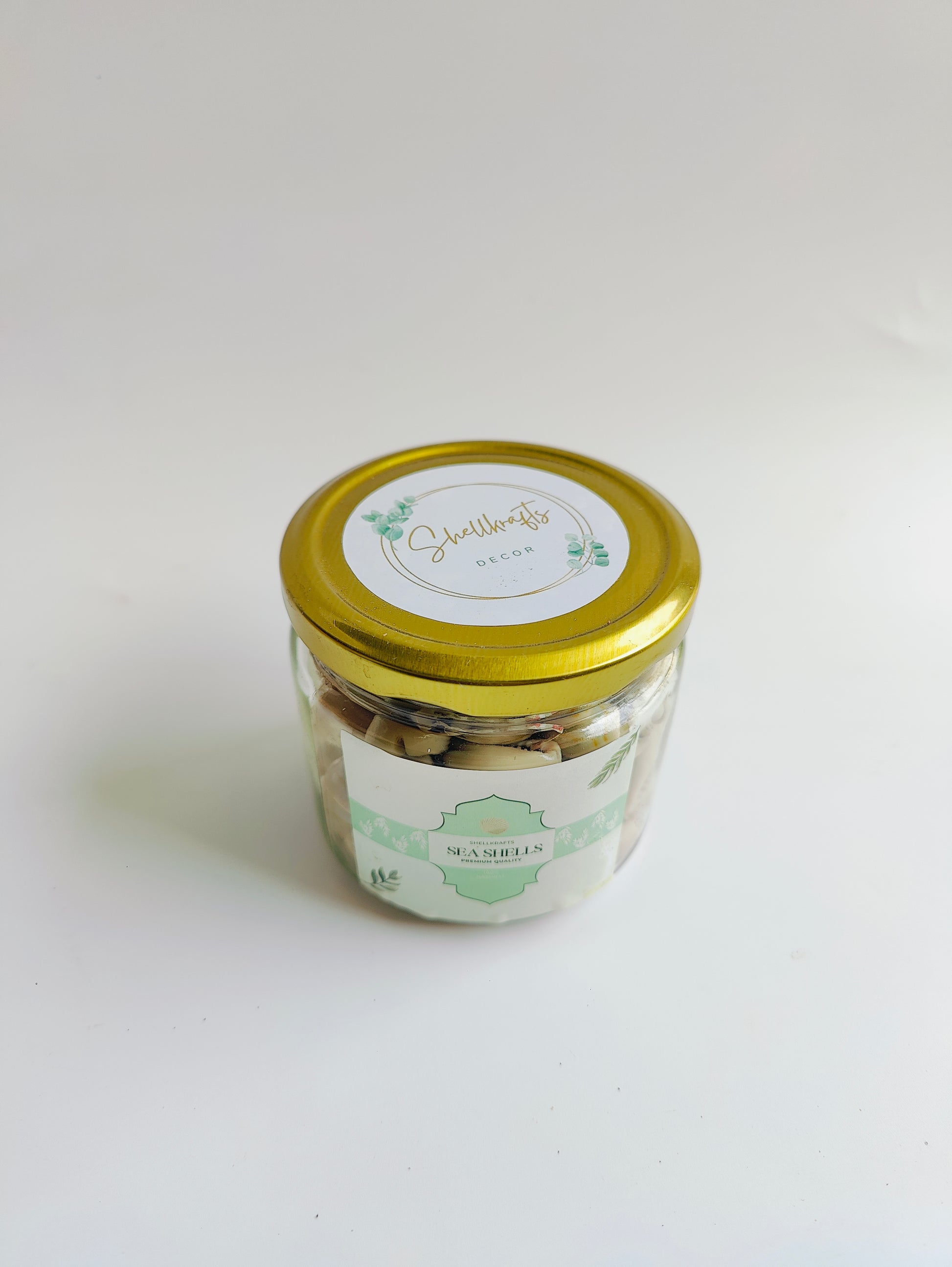 Natural Cowrie Shells – Premium Handpicked Sea Shells for Crafts, Jewelry & Decor - Shellkrafts