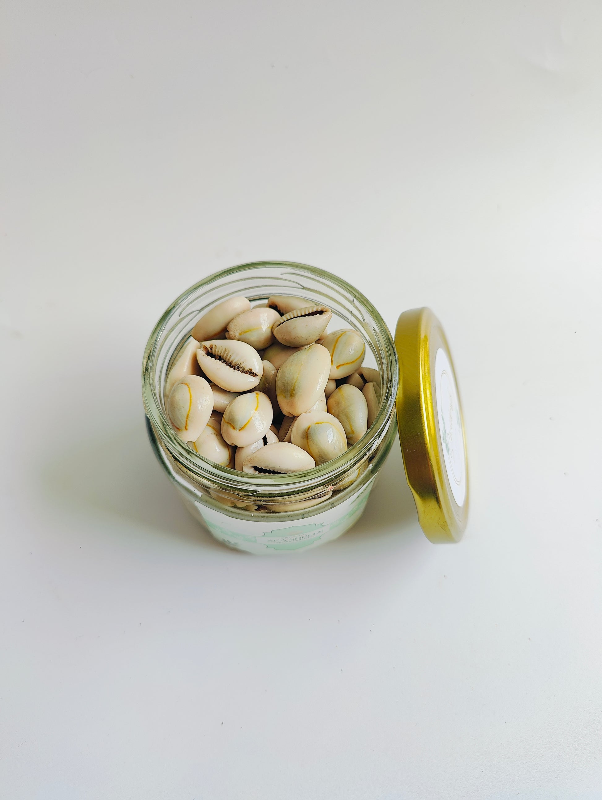 Natural Cowrie Shells – Premium Handpicked Sea Shells for Crafts, Jewelry & Decor - Shellkrafts