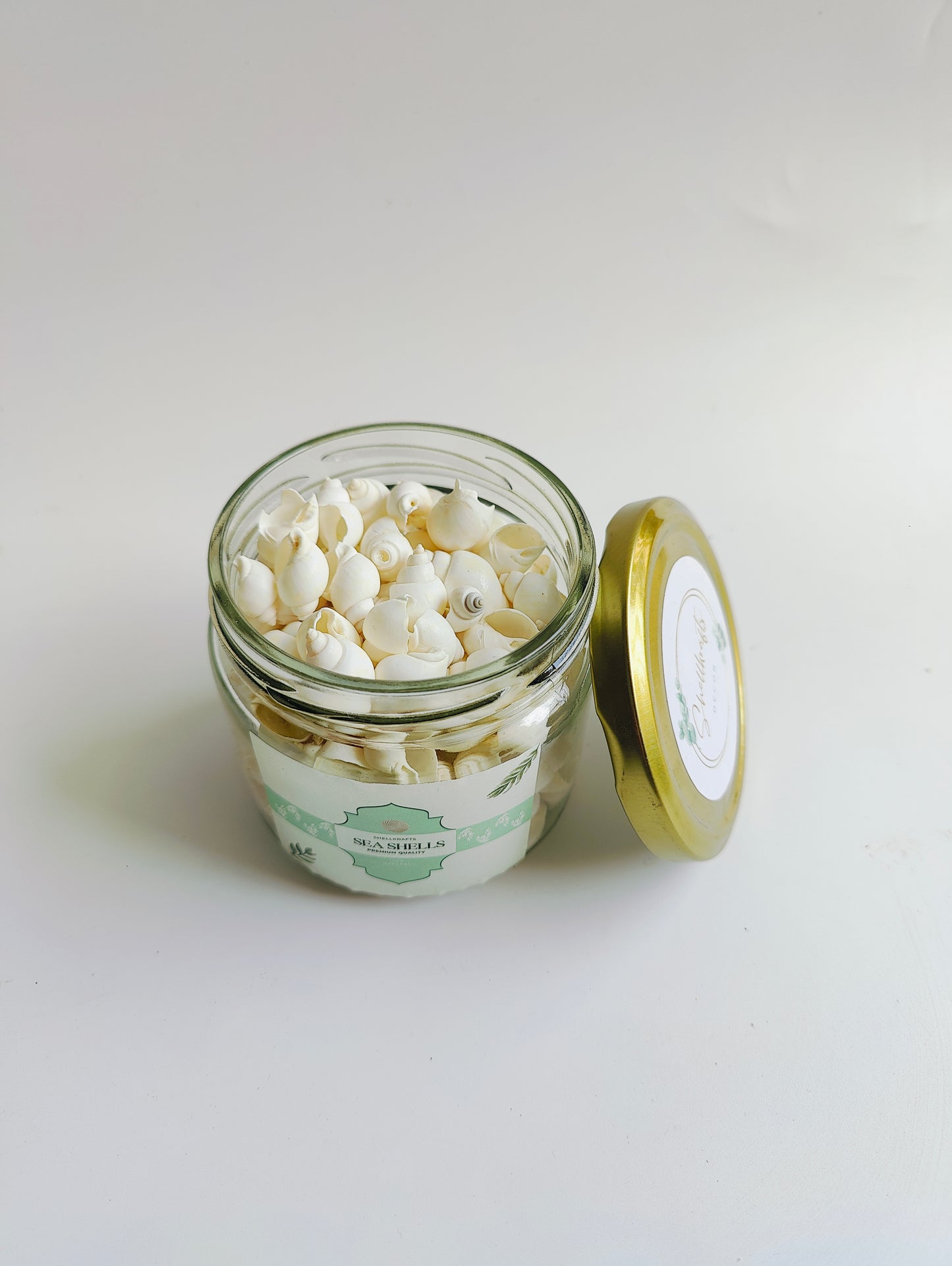 Natural White Sea Shells – Premium Mini Shells for Crafts, Jewelry & Home Décor 180grms