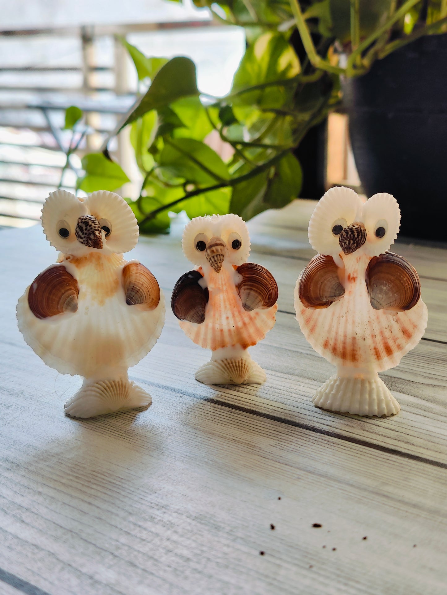 Coastal Wisdom Shell Owl Decor - Shellkrafts
