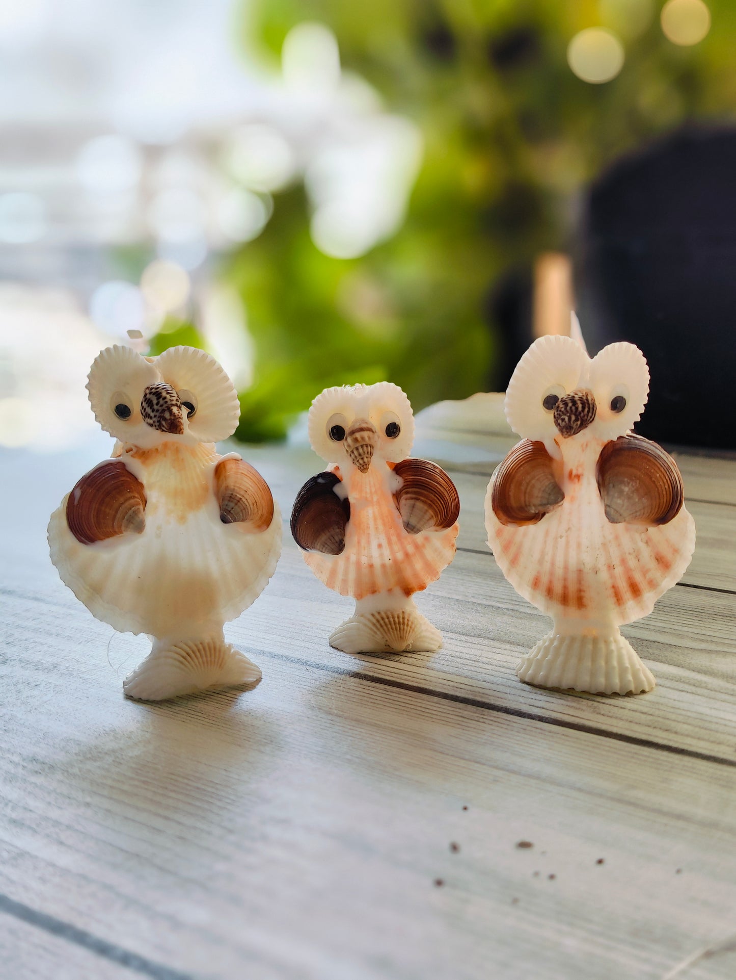 Coastal Wisdom Shell Owl Decor - Shellkrafts