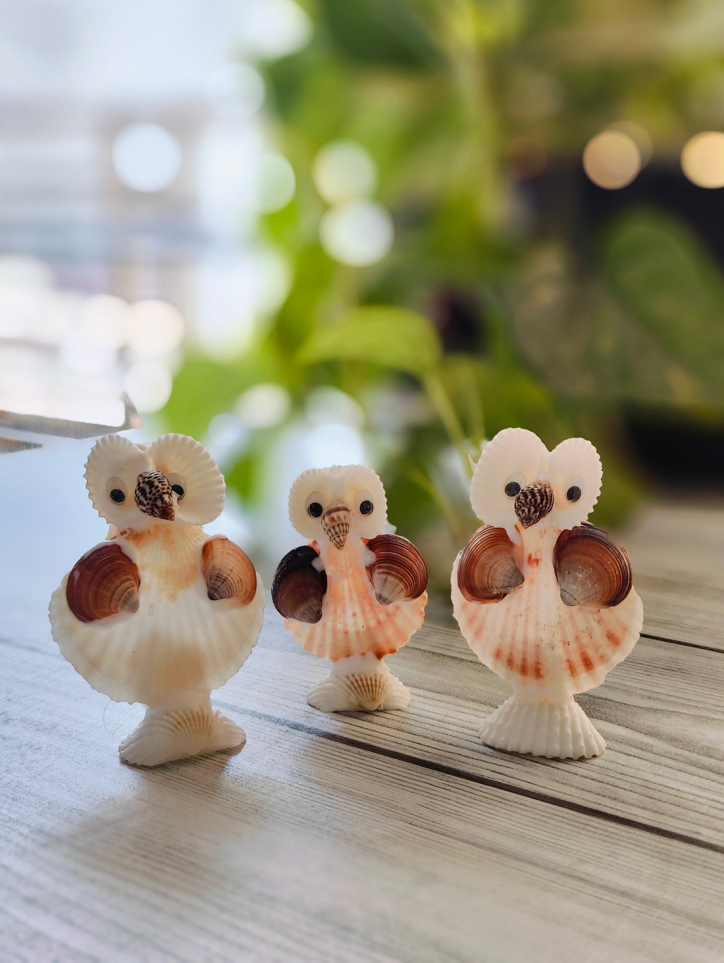 Coastal Wisdom Shell Owl Decor - Shellkrafts