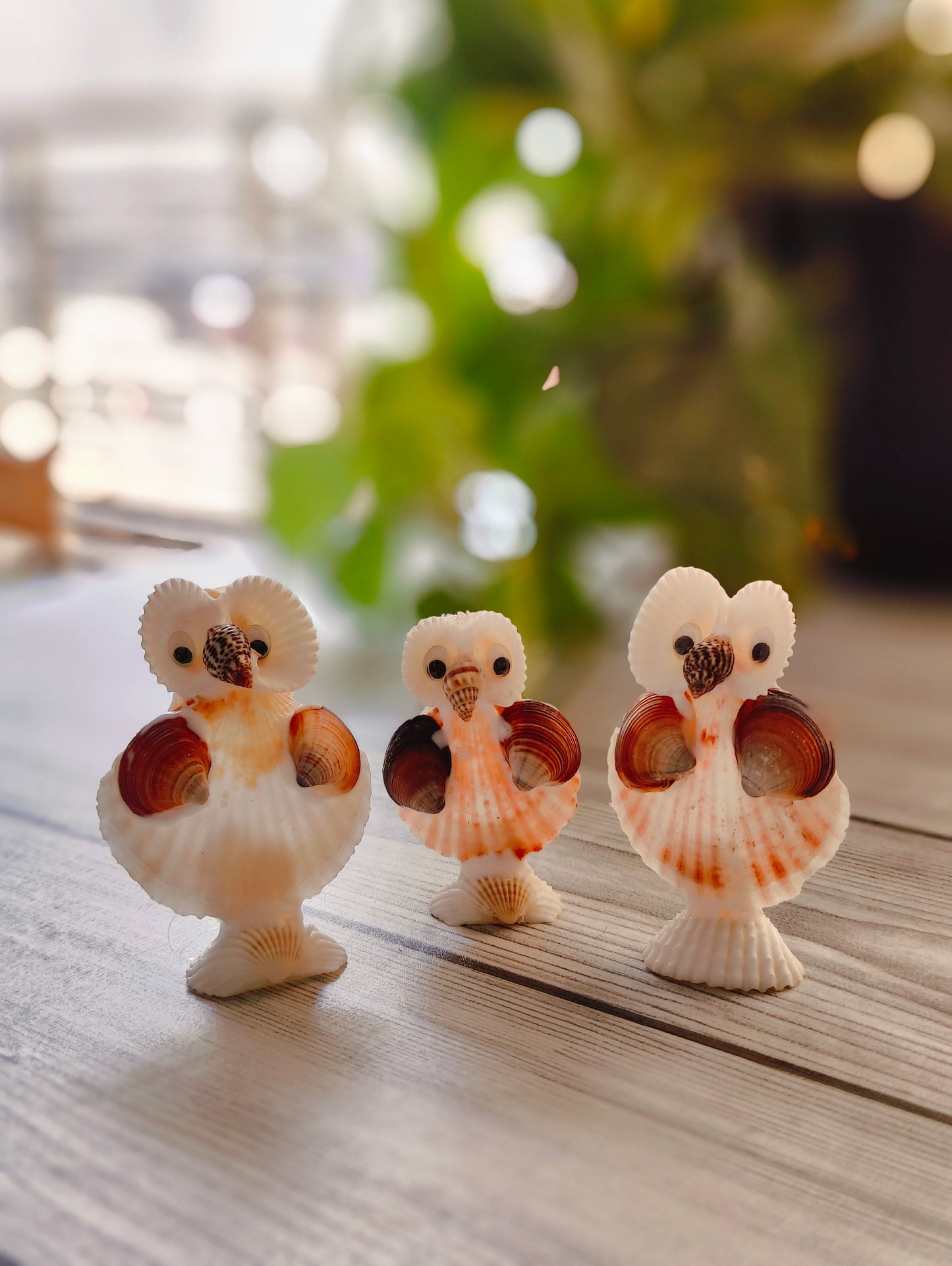 Coastal Wisdom Shell Owl Decor - Shellkrafts