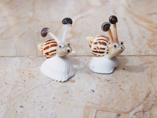Nature-Inspired Shell Snail Accent Piece - Shellkrafts
