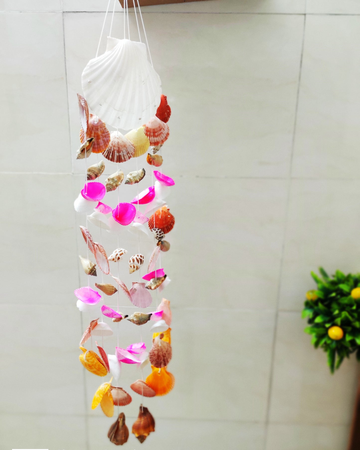Vibrant Seashell Wind Chime – Handcrafted Coastal Hanging Décor 24inch - Shellkrafts