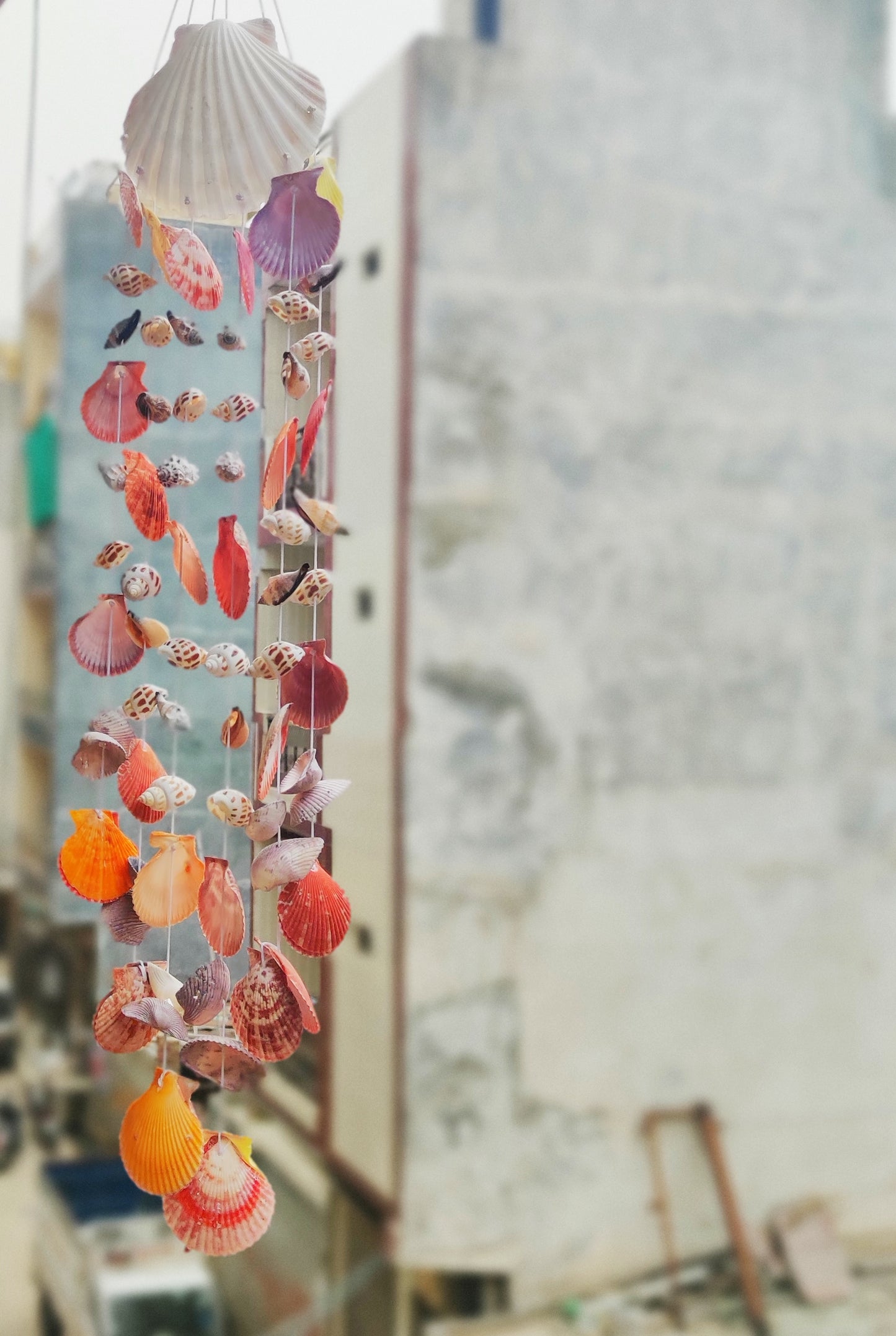 Vibrant Seashell Wind Chime – Handcrafted Coastal Hanging Décor 24inch - Shellkrafts