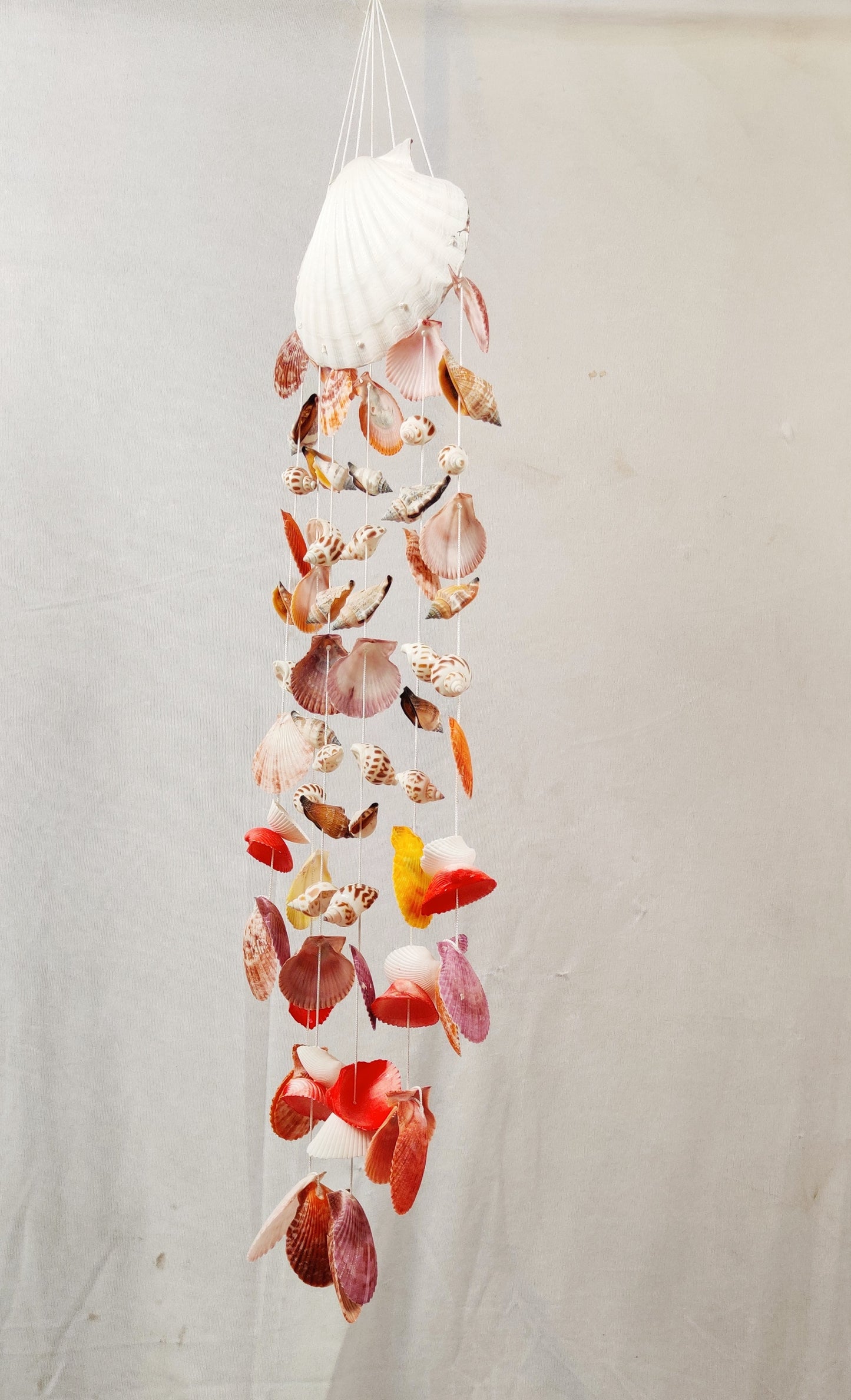 Vibrant Seashell Wind Chime – Handcrafted Coastal Hanging Décor 24inch - Shellkrafts