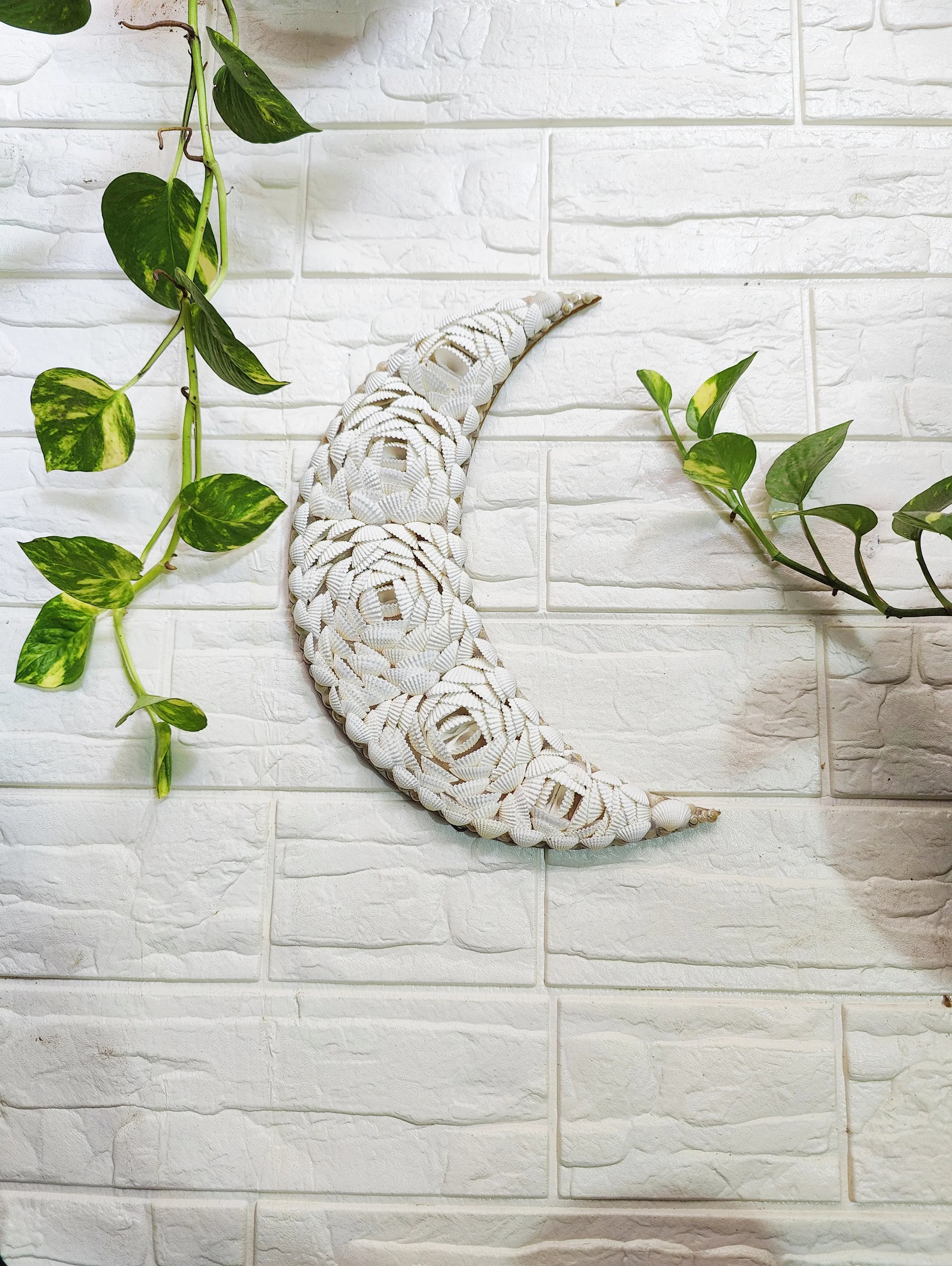 Shellkrafts Crenscent Moon Hanger|Wall hanging 12inch - Shellkrafts