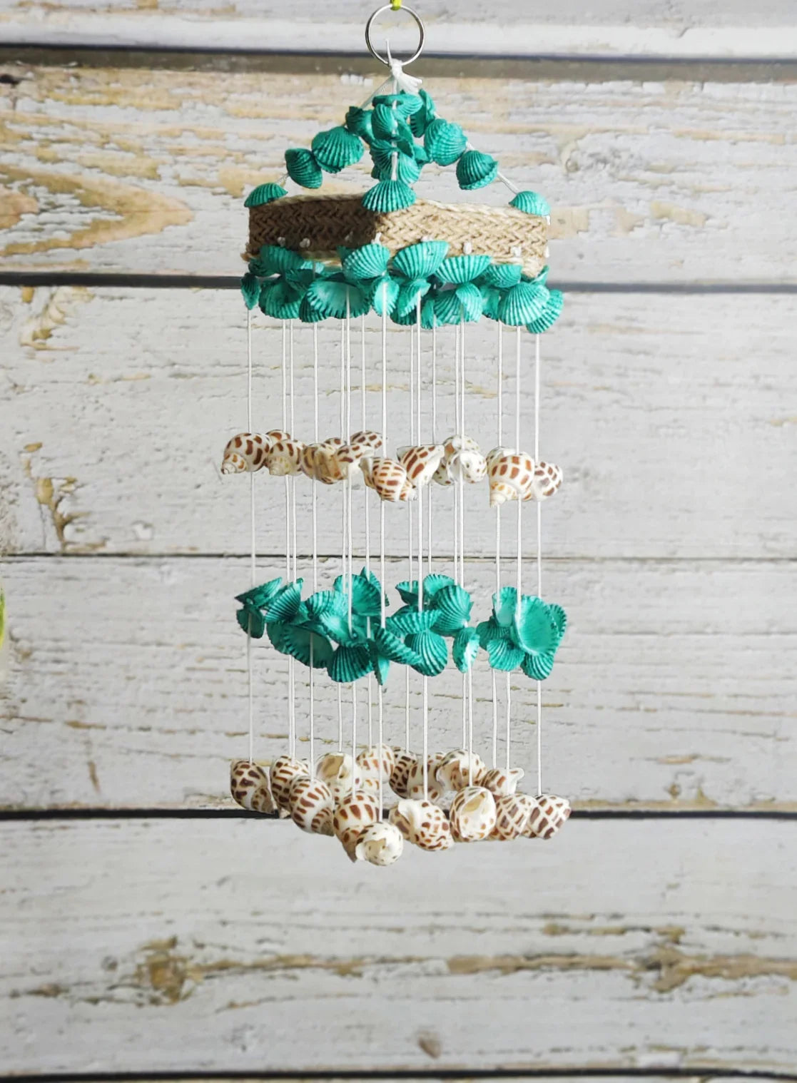 Shellkrafts Sea shell Mini Hanger for Home decor 15inch - Shellkrafts