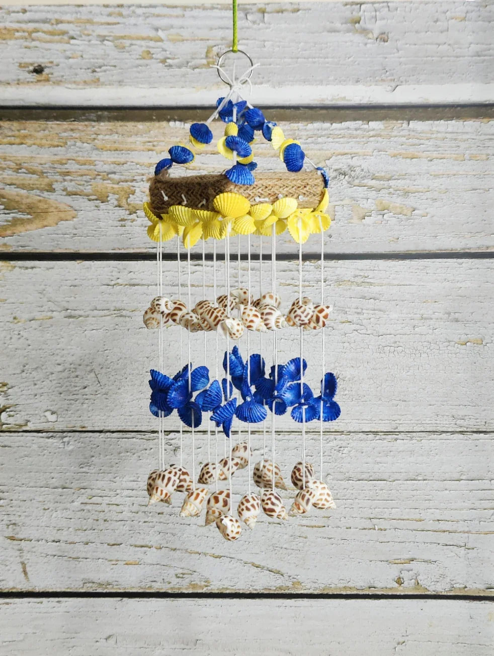 Shellkrafts sea shell Mini hanger for Home decor 15inch - Shellkrafts