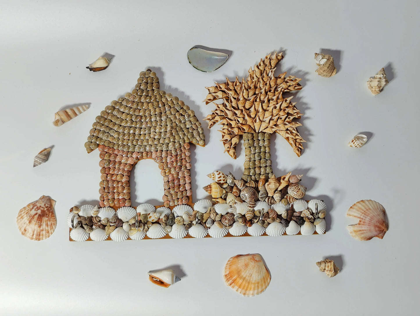 Shellkrafts Sea shell Key Hanger 5 Hooks - Shellkrafts