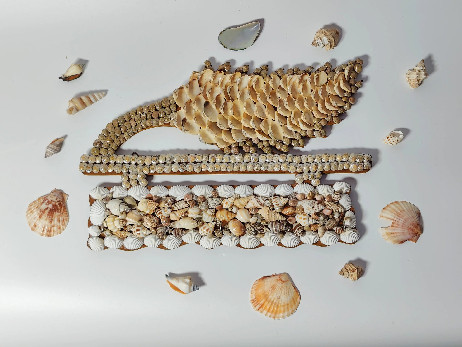 Shellkrafts Sea shell wooden Key hanger 5 Hooks - Shellkrafts
