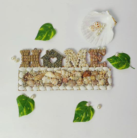 Shellkrafts Sea shell Home key hanger 5 Hooks - Shellkrafts