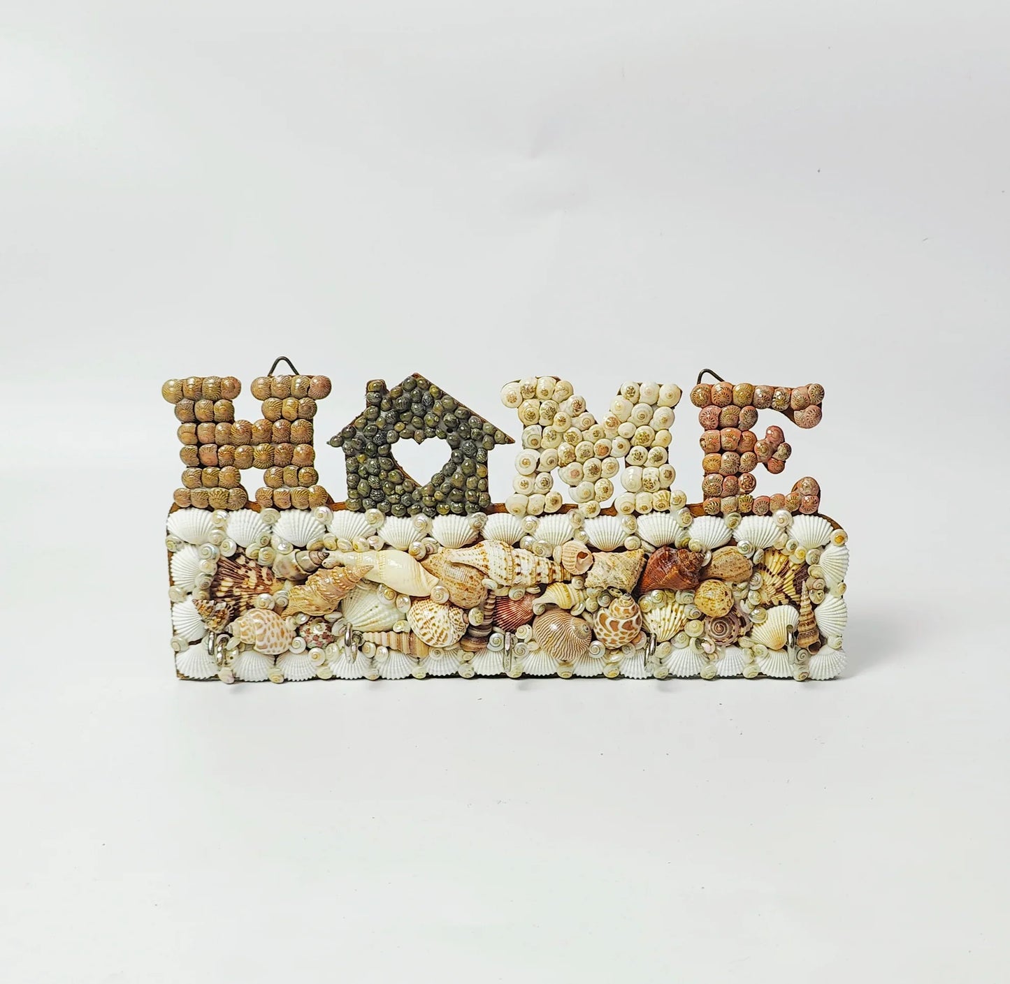 Shellkrafts Sea shell Home key hanger 5 Hooks - Shellkrafts