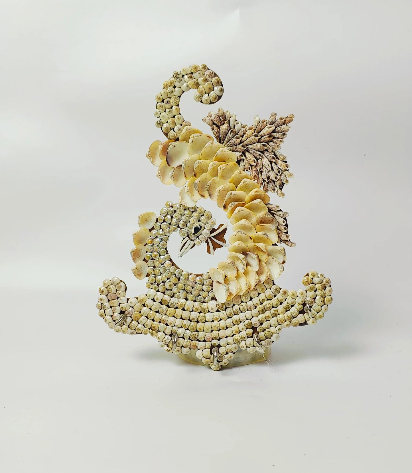 Shellkrafts Peacock sea shell key Hanger 5 Hooks - Shellkrafts