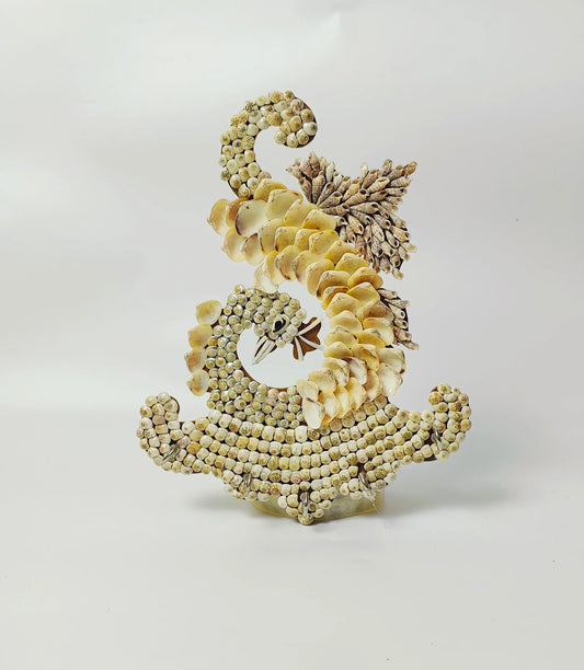 Shellkrafts Peacock sea shell key Hanger 5 Hooks - Shellkrafts