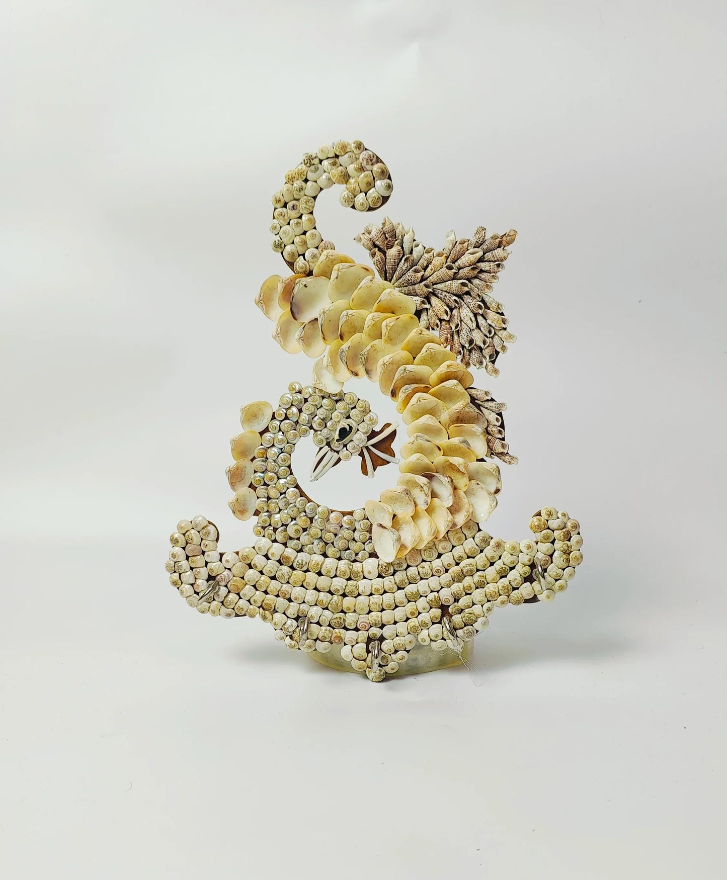 Shellkrafts Peacock sea shell key Hanger 5 Hooks - Shellkrafts