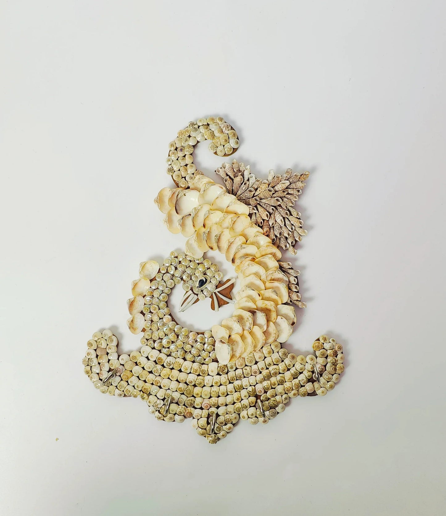 Shellkrafts Peacock sea shell key Hanger 5 Hooks - Shellkrafts