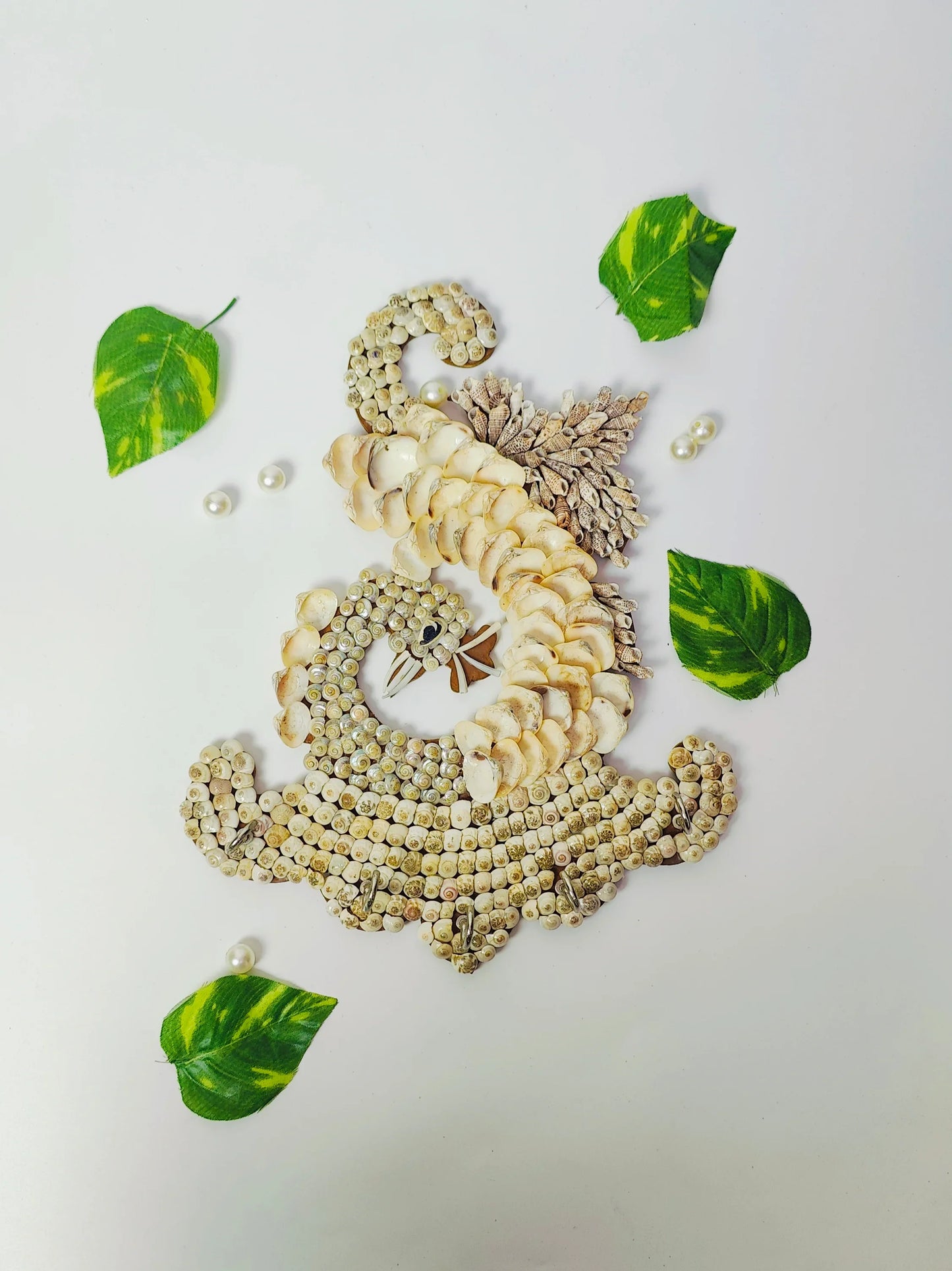 Shellkrafts Peacock sea shell key Hanger 5 Hooks - Shellkrafts