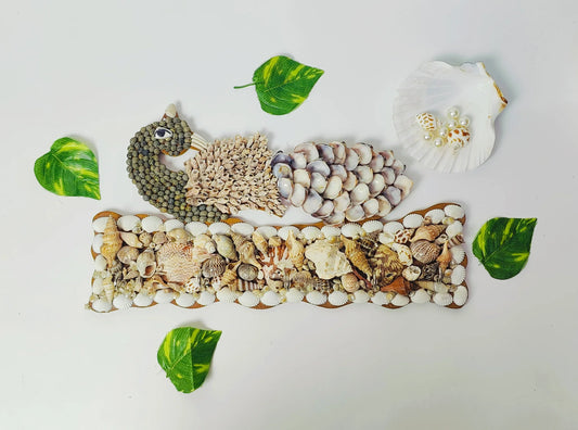 Shellkrafts Peacock sea shell key hanger 5 Hooks - Shellkrafts