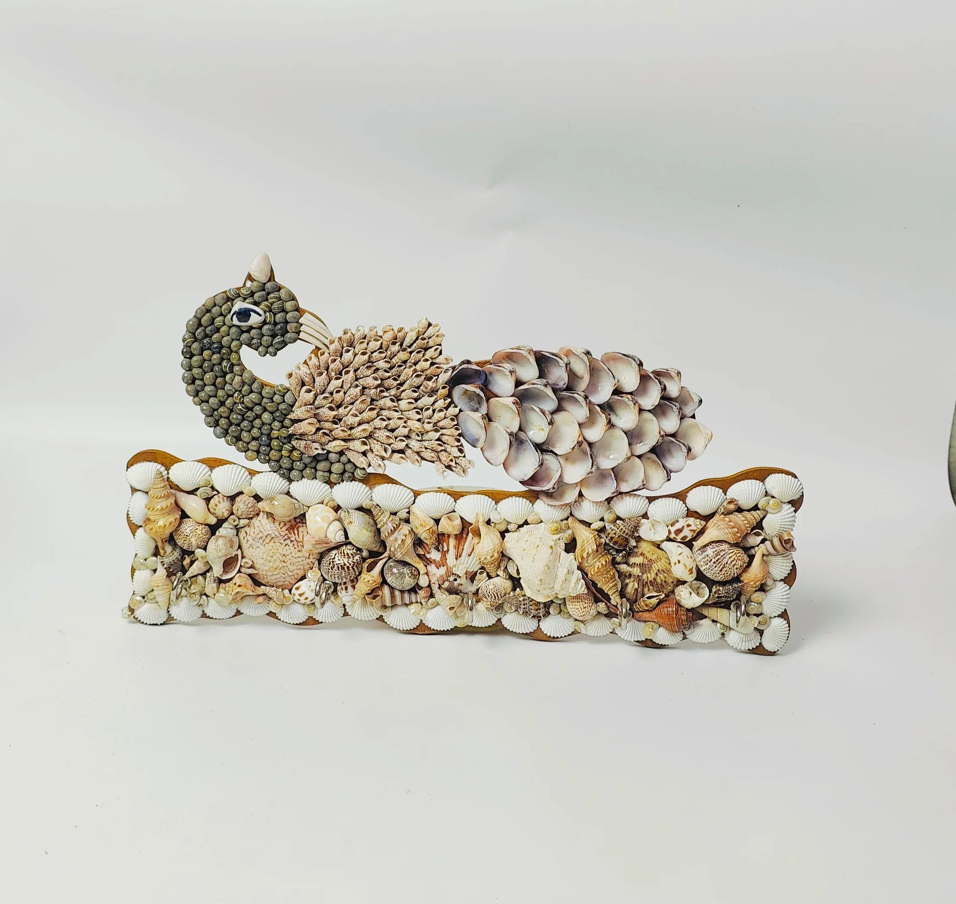 Shellkrafts Peacock sea shell key hanger 5 Hooks - Shellkrafts