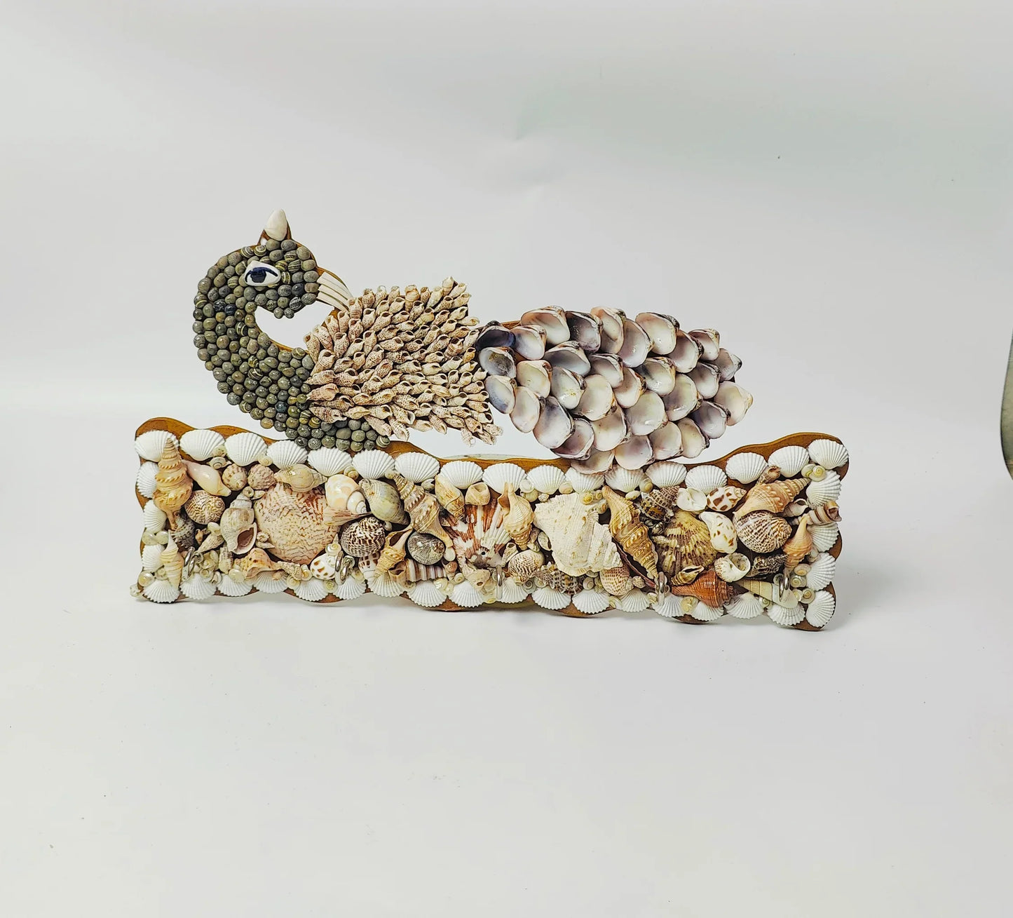 Shellkrafts Peacock sea shell key hanger 5 Hooks - Shellkrafts