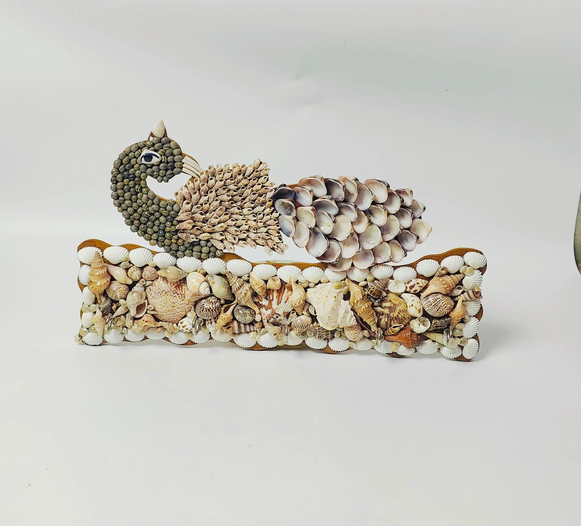 Shellkrafts Peacock sea shell key hanger 5 Hooks - Shellkrafts