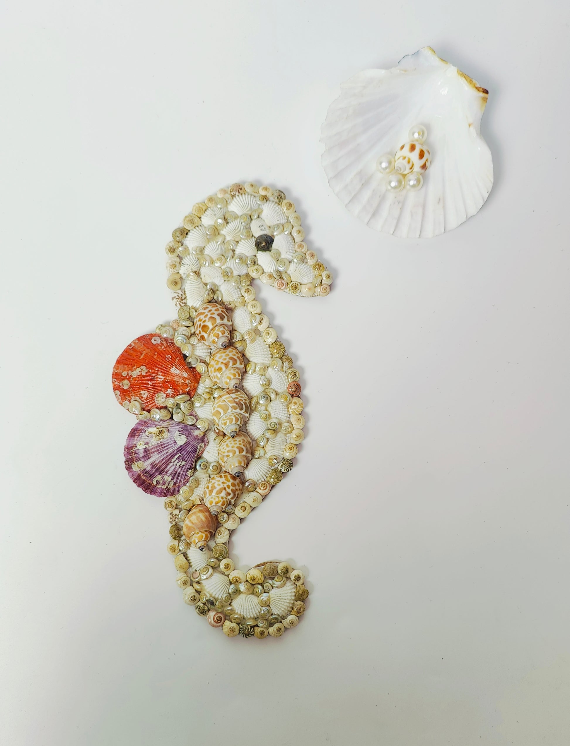 Handcrafted Seahorse Wall Art – Exquisite Seashell Décor 12 inch - Shellkrafts