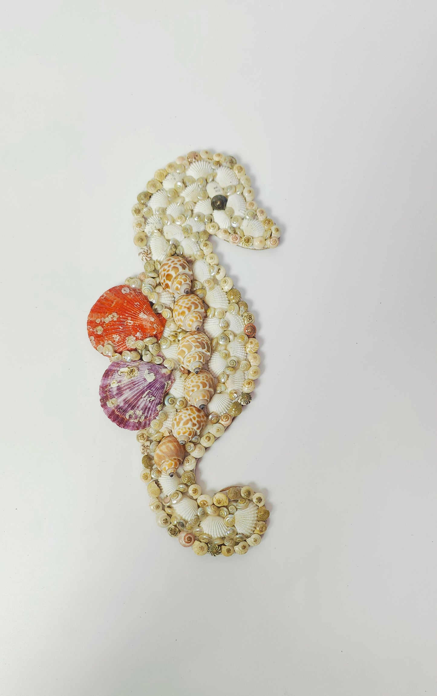 Handcrafted Seahorse Wall Art – Exquisite Seashell Décor 12 inch