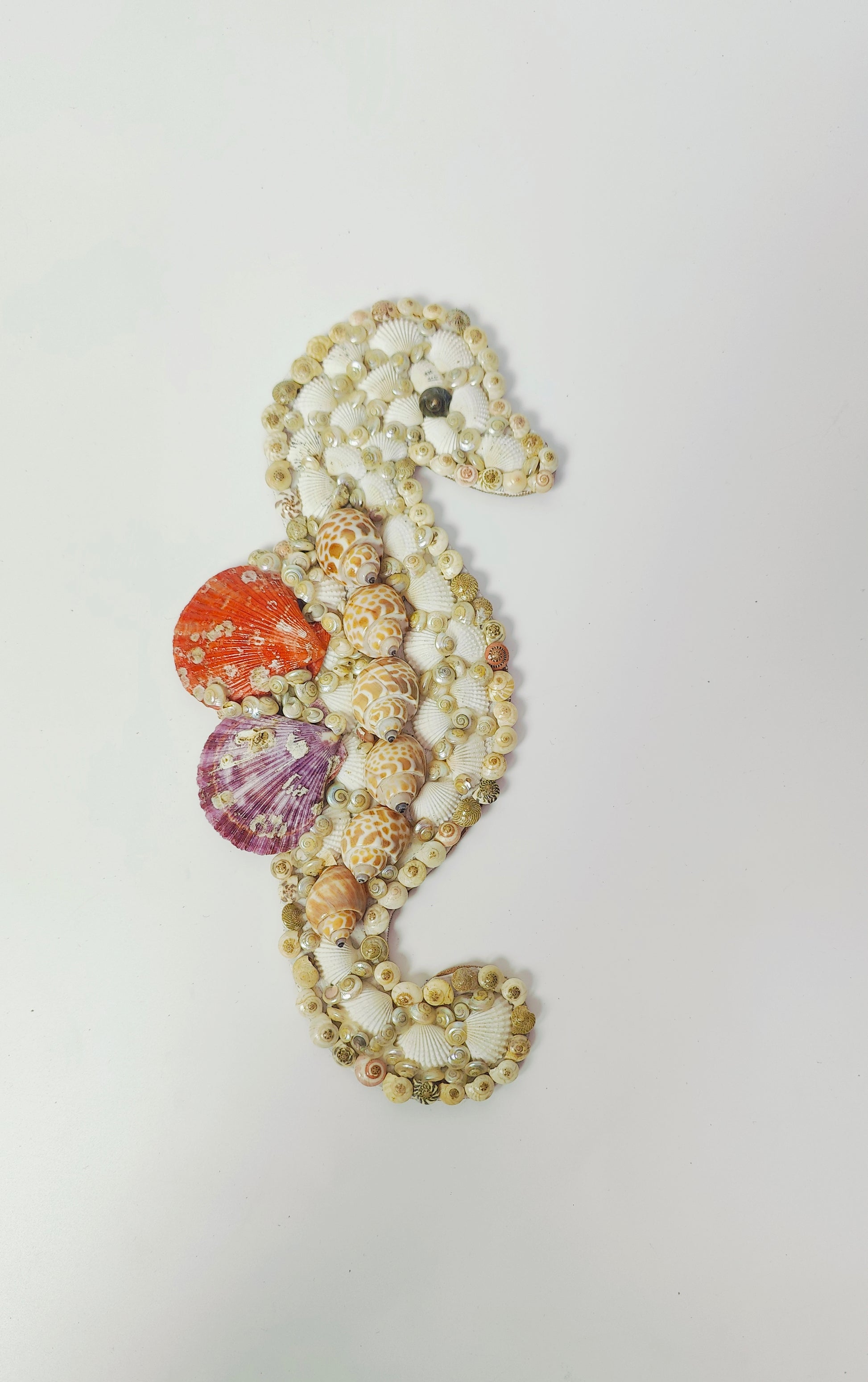Handcrafted Seahorse Wall Art – Exquisite Seashell Décor 12 inch - Shellkrafts