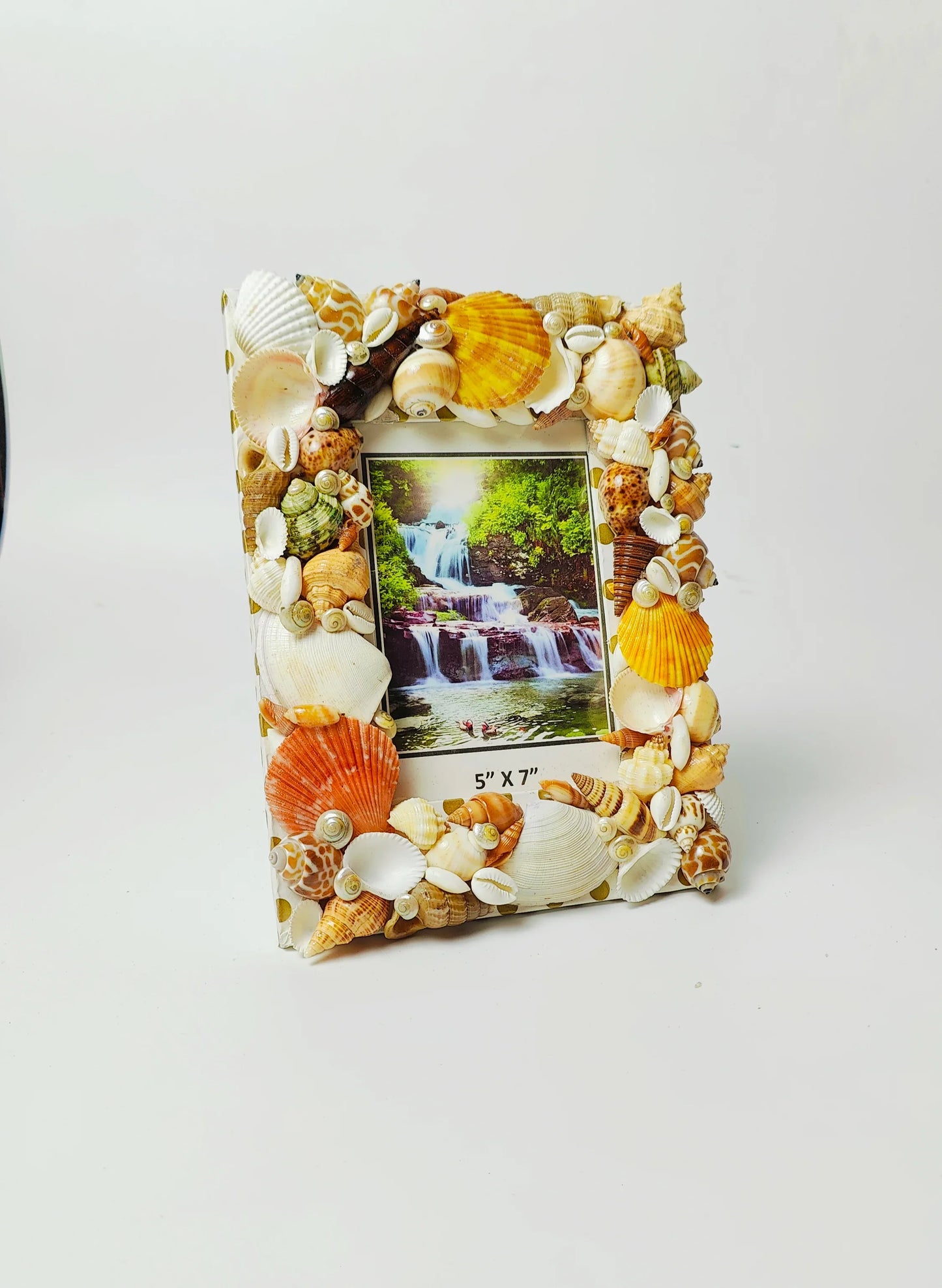 Shellkrafts Asthetic photo Frame - Shellkrafts