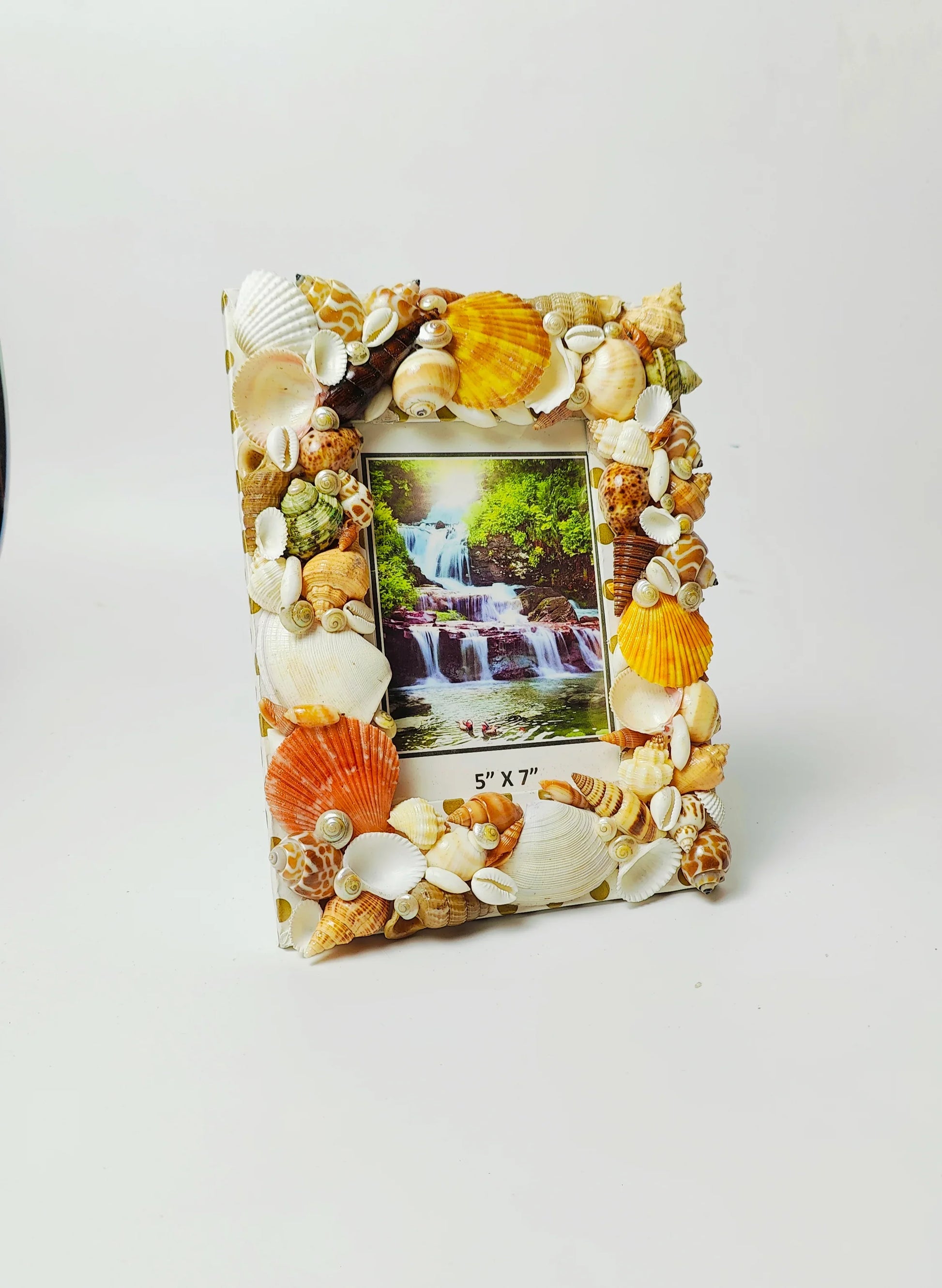 Shellkrafts Asthetic photo Frame - Shellkrafts