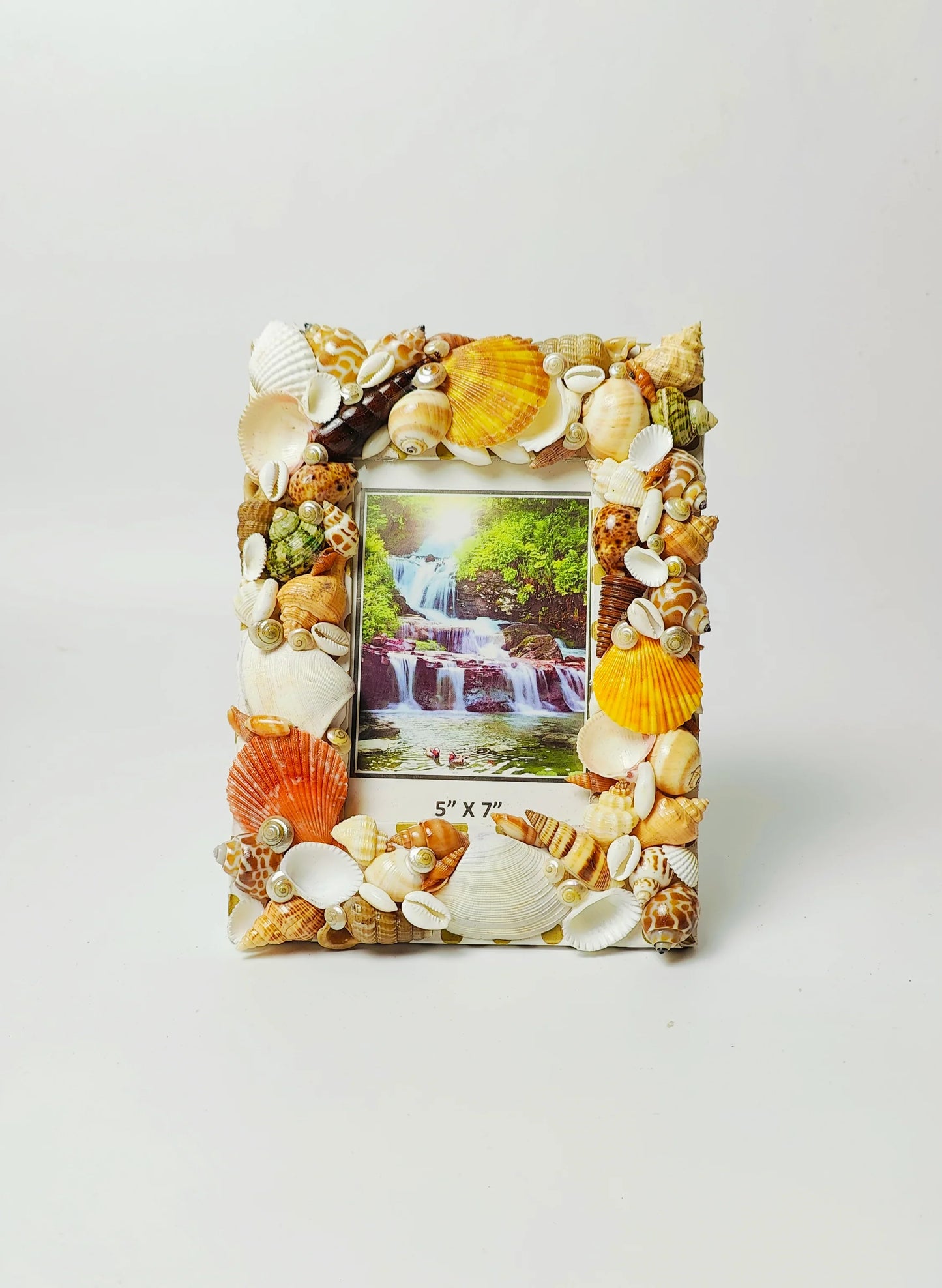 Shellkrafts Asthetic photo Frame - Shellkrafts