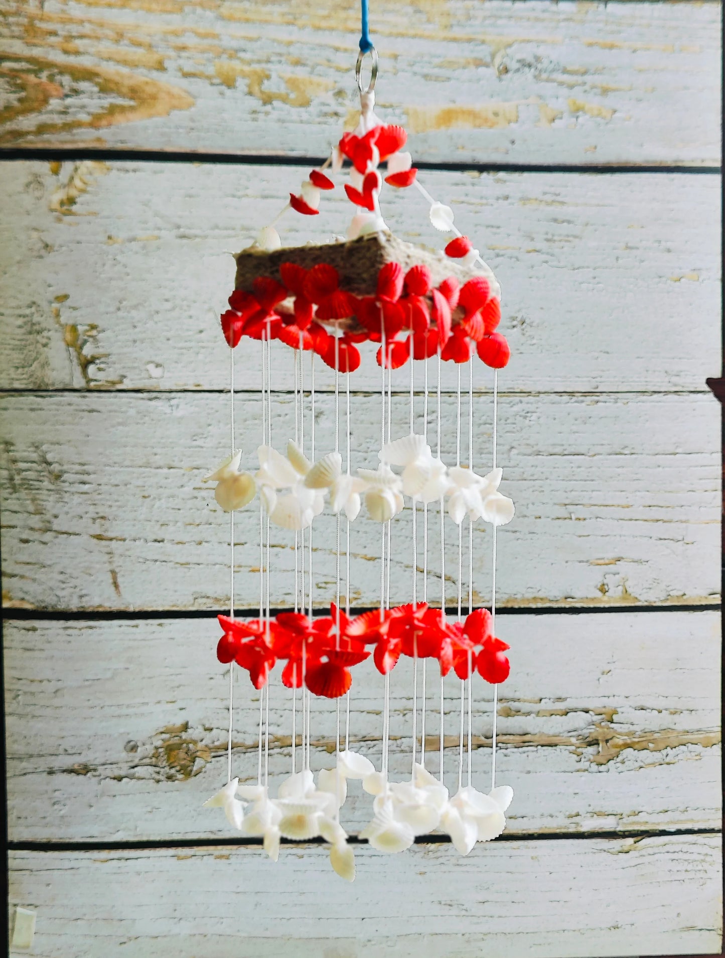 Red Mini sea shell Hanging for Home decor 15 inch - Shellkrafts