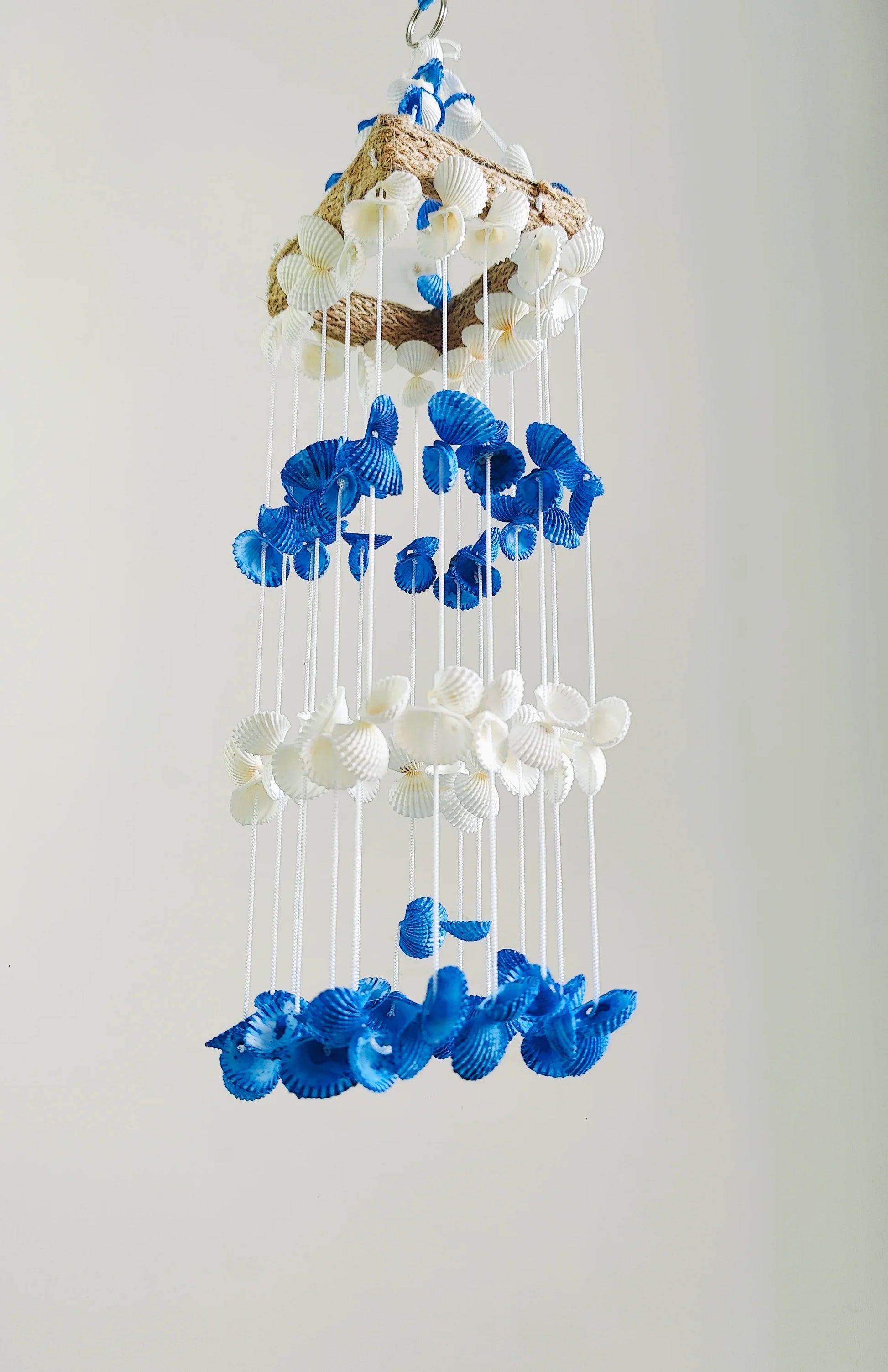 Blue Mini Sea shell Hanger for Home decor 15inch - Shellkrafts