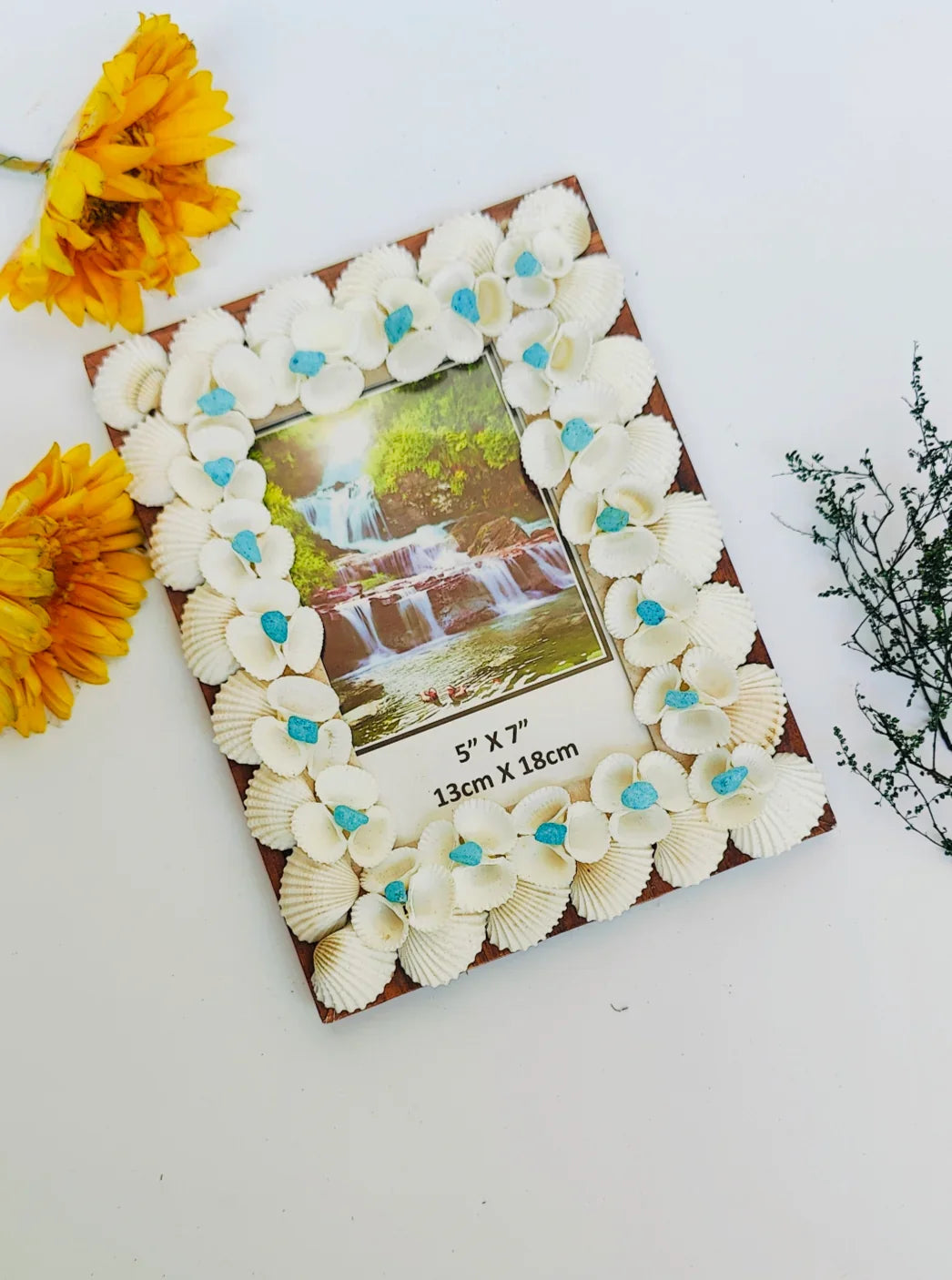 Shellkrafts Sea shell photo Frame 7x9 inch - Shellkrafts