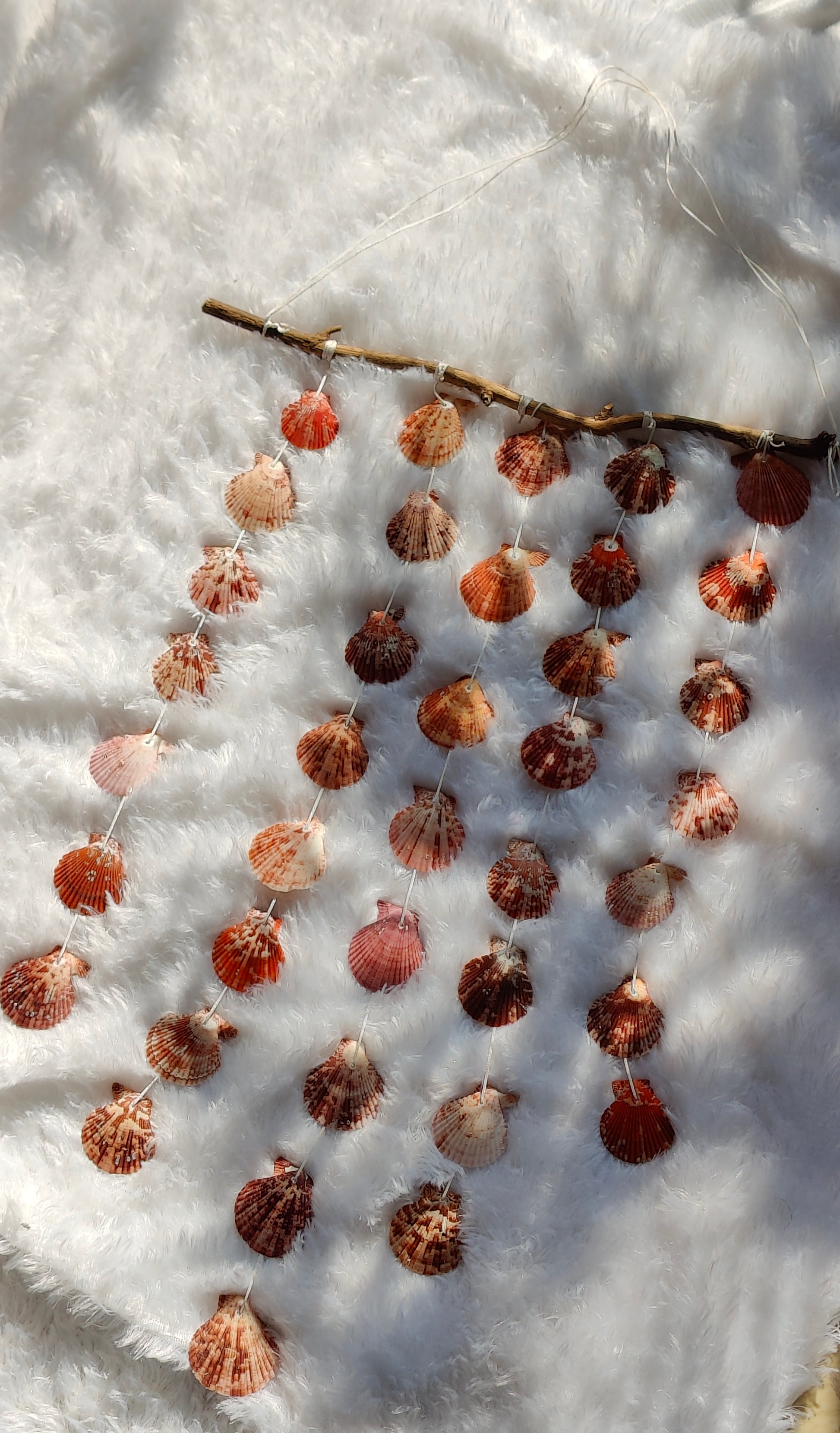 Natural Sea Shell Wall Hanging Décor - Boho Coastal Charm - Shellkrafts