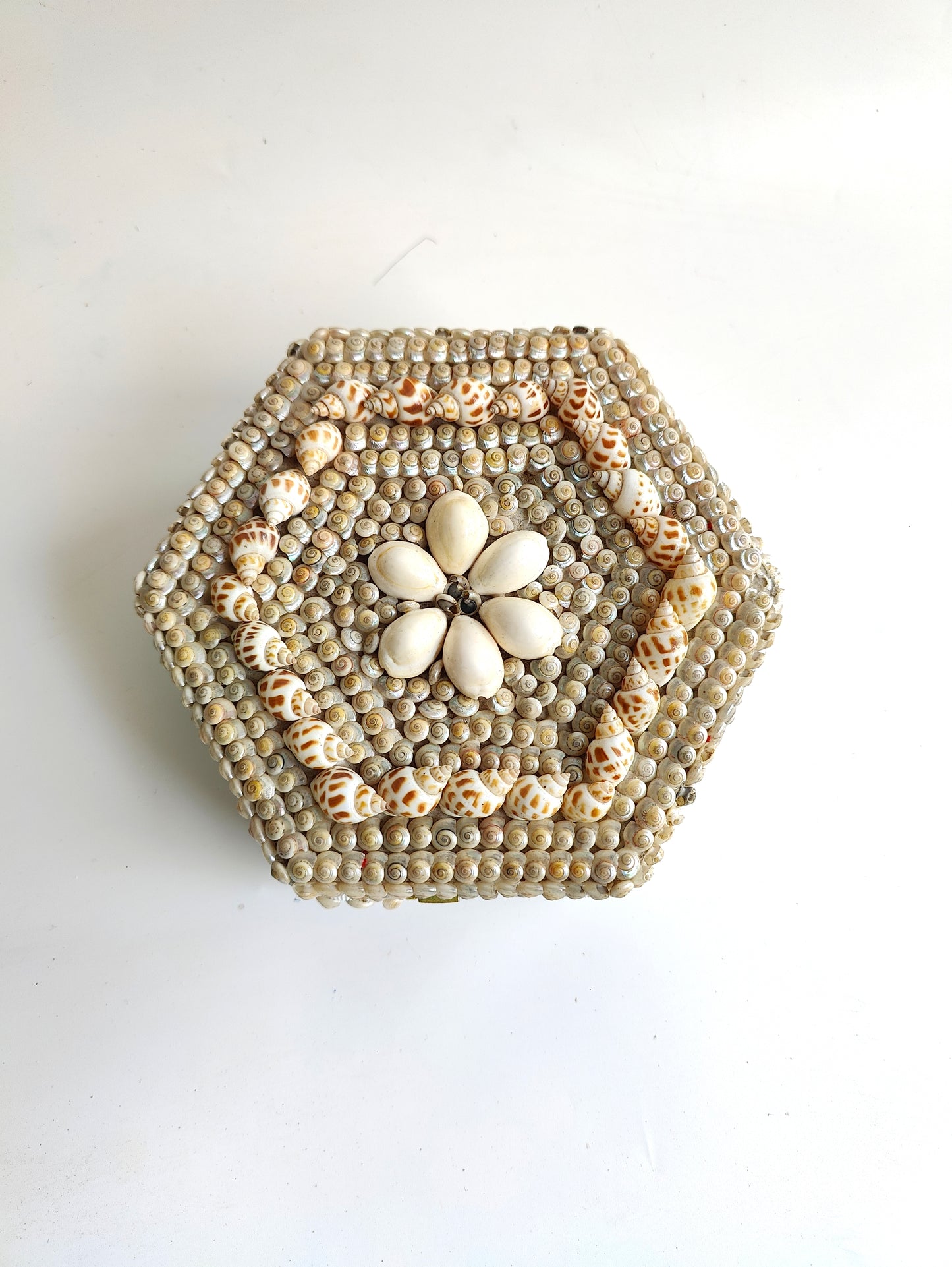Coastal Charm: Hexagon Shell Trinket Box