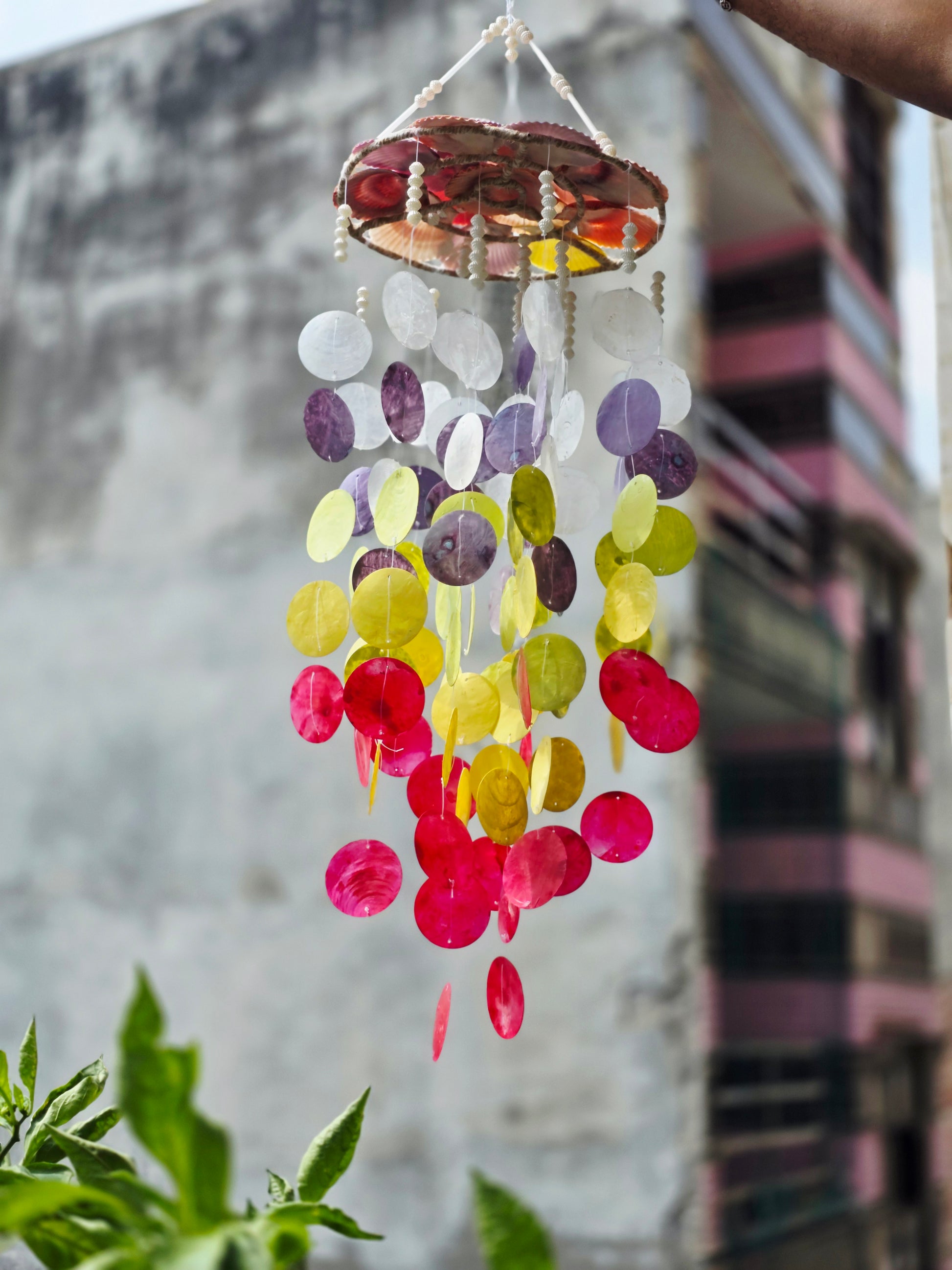 Bohemian Capiz Shell Wind Chime – Multicolor windchime for Balcony & Home Décor - Shellkrafts