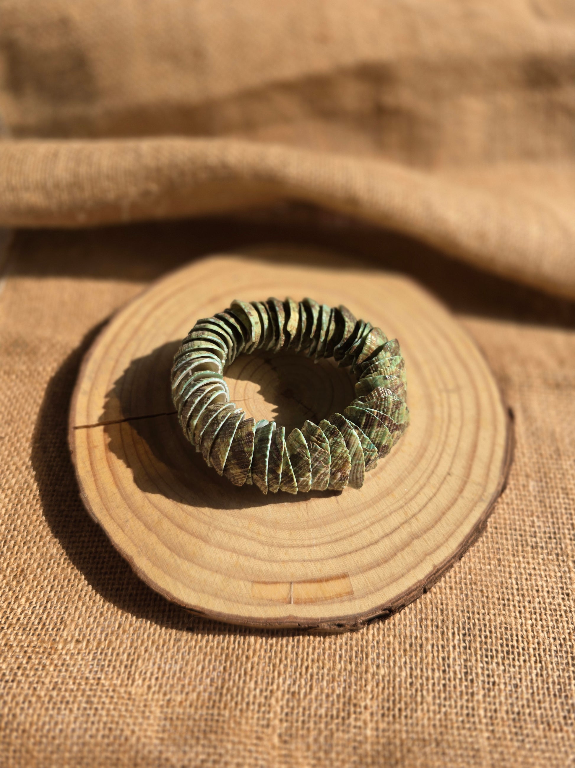 Earthy Tones Sea Shell Bracelet - Shellkrafts