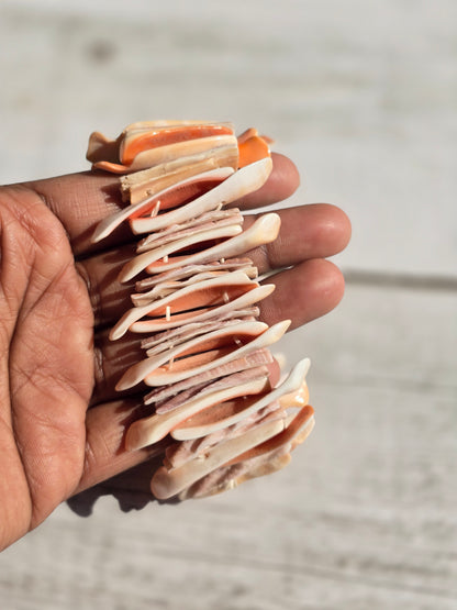 Island Vibes Natural Shell Bracelet - Shellkrafts