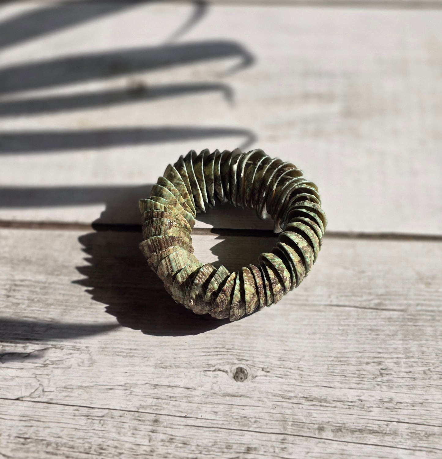 Earthy Tones Sea Shell Bracelet - Shellkrafts