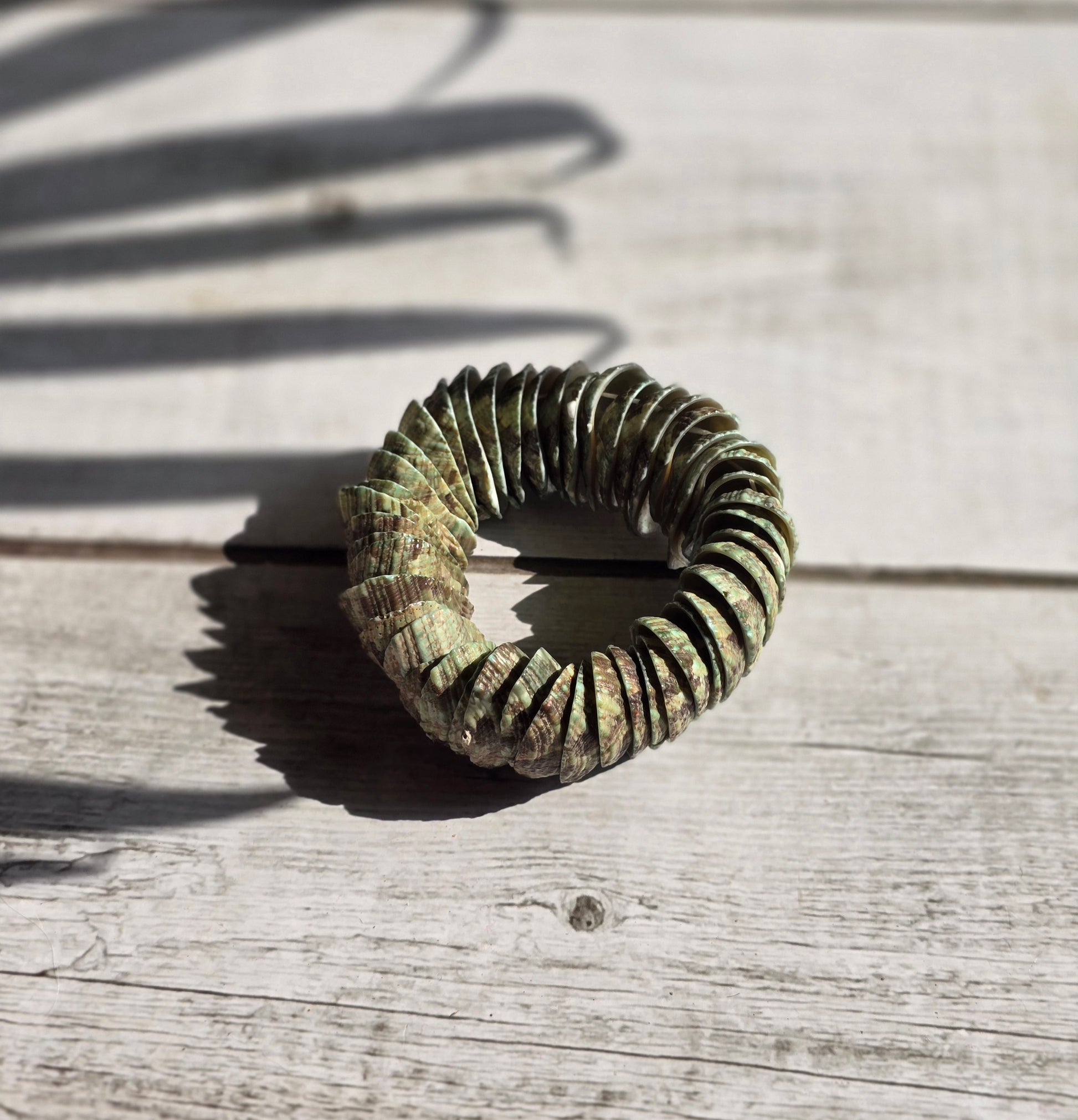 Earthy Tones Sea Shell Bracelet - Shellkrafts